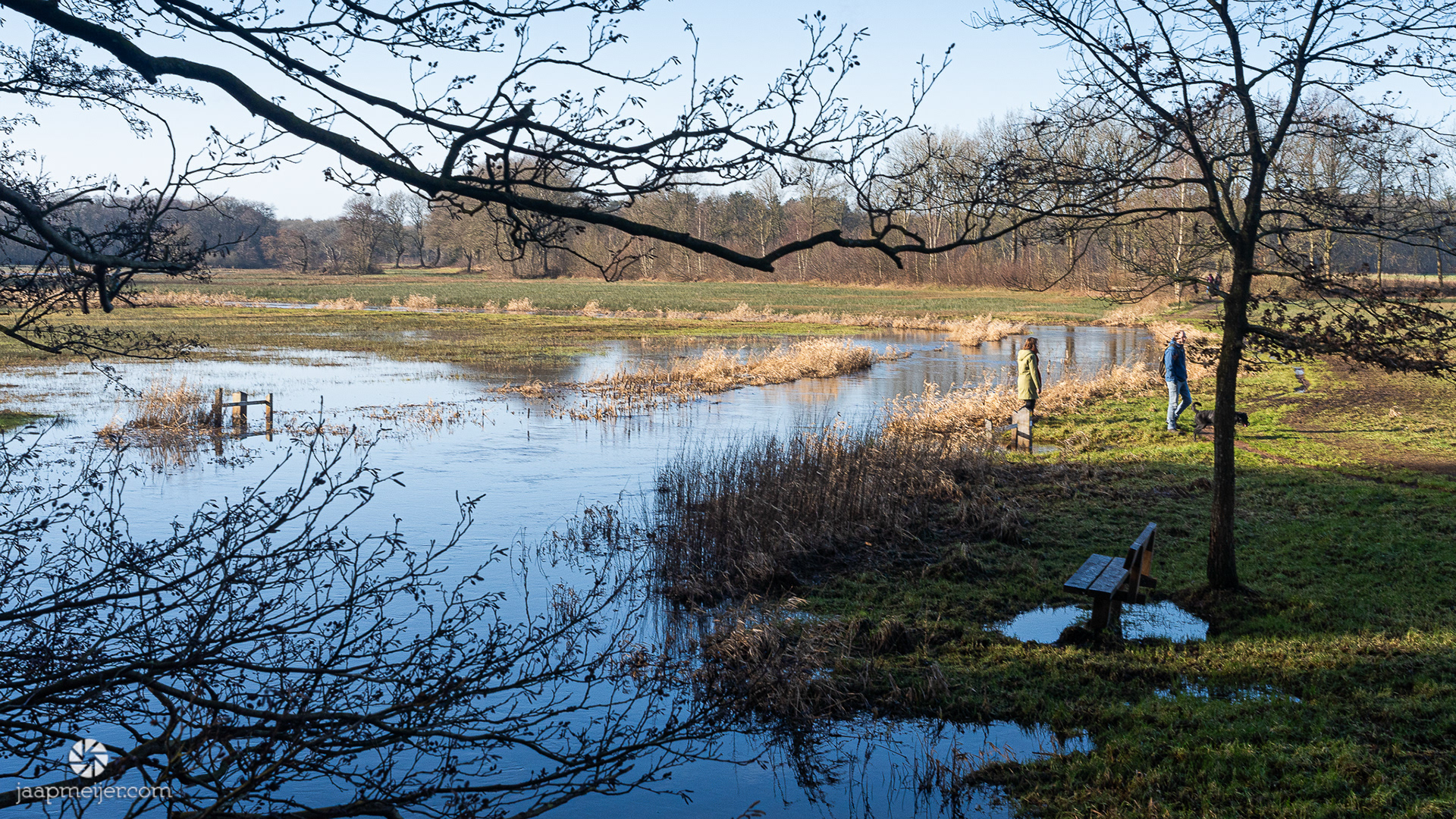 Het water heeft hier royaal de mogelijkheid om buiten de oevers te treden.