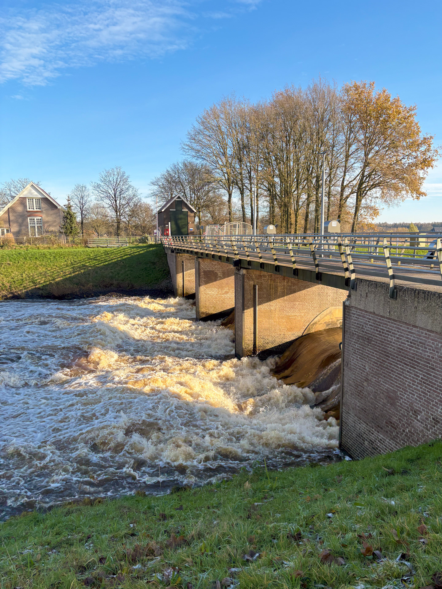 Bijna zelfde foto als eerder, nu in Junne