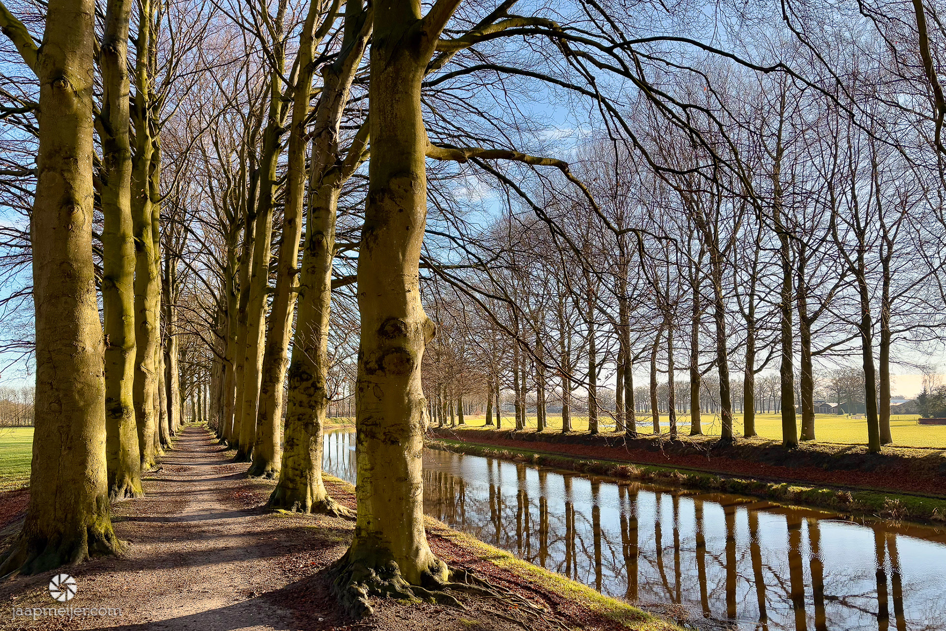 Die bomen staan er al even