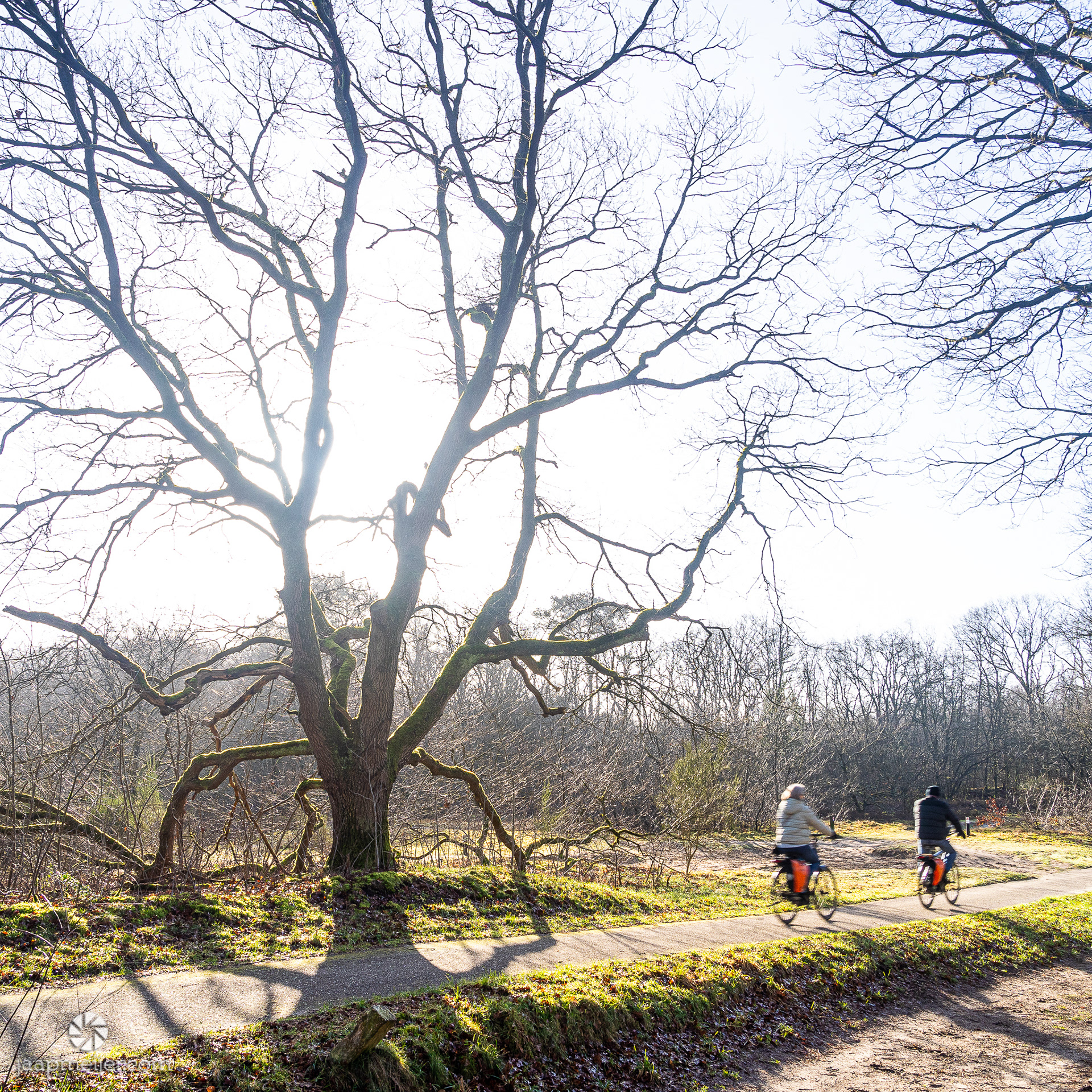 Op weg naar de moerasgebieden rond de Drentse AA