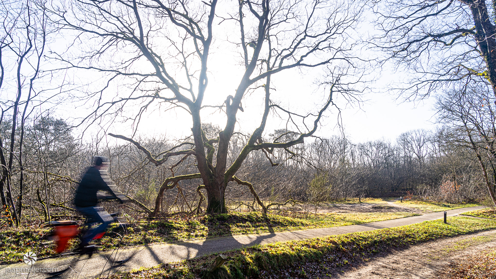 De een wandelt, de ander fietst