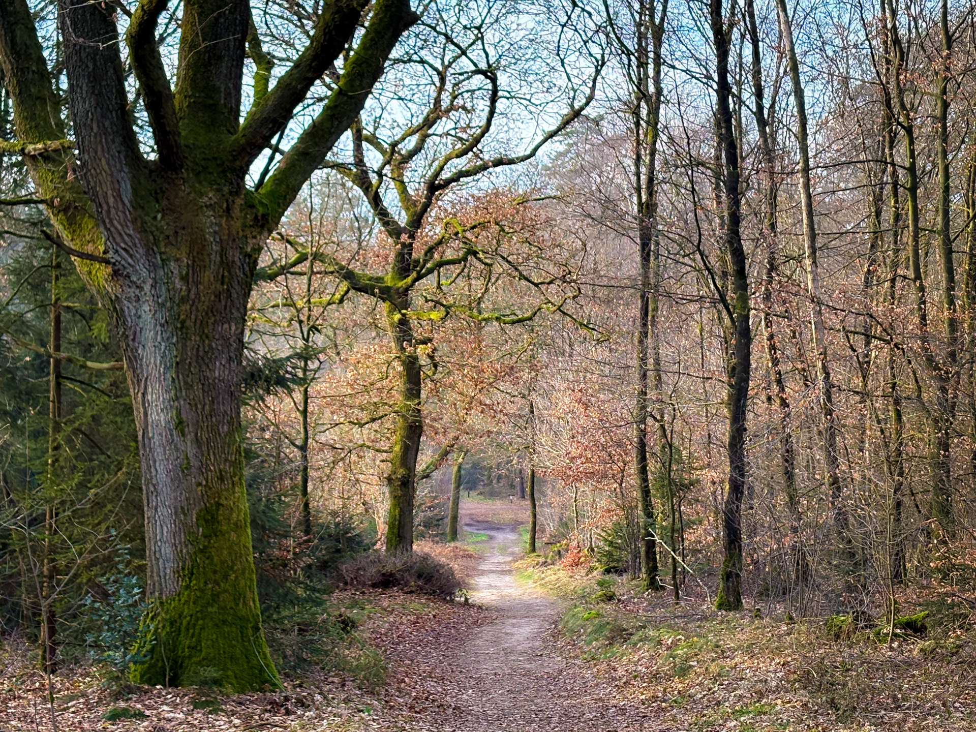 De paden op, de lanen in