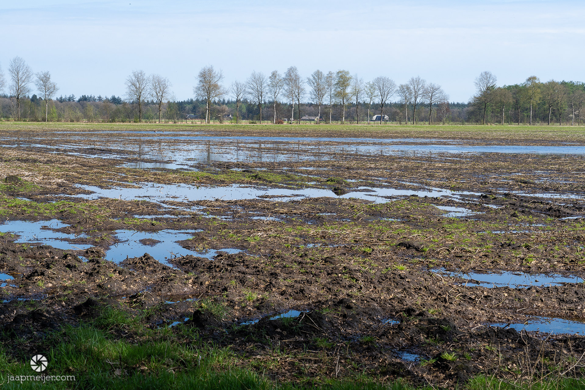 Ook de akkers vinden de regen wel even genoeg