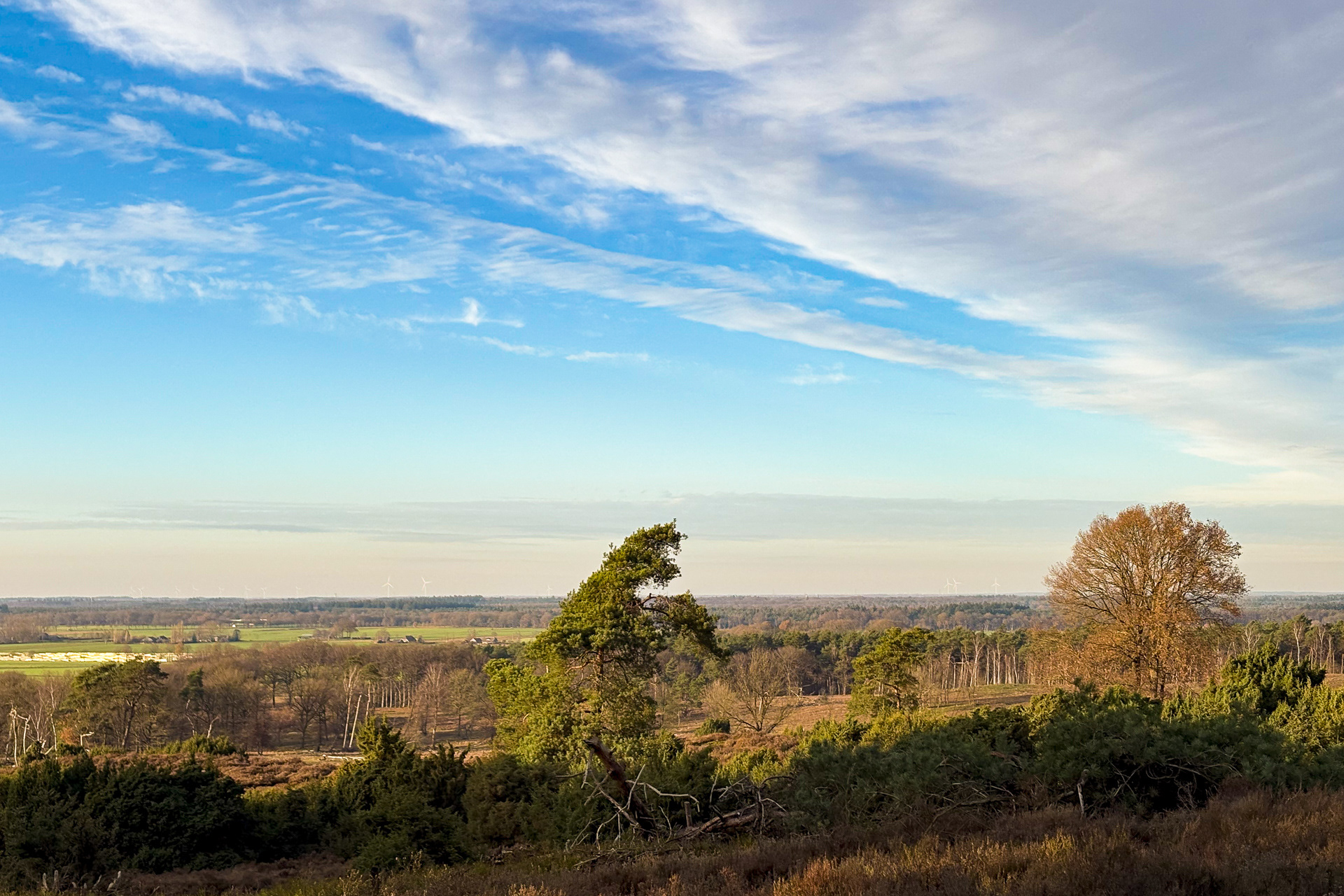 Wat een perfect wandelweertje!