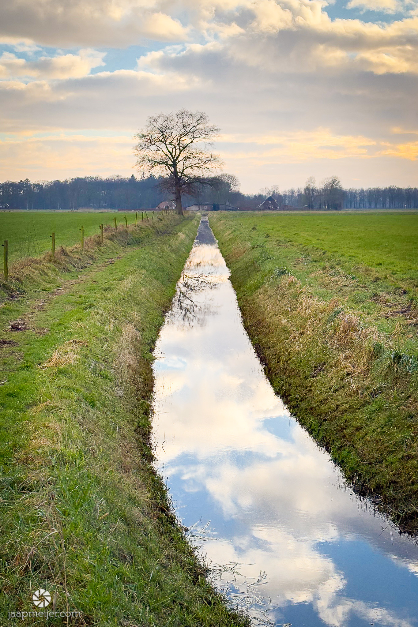 Heerlijke weidsheid