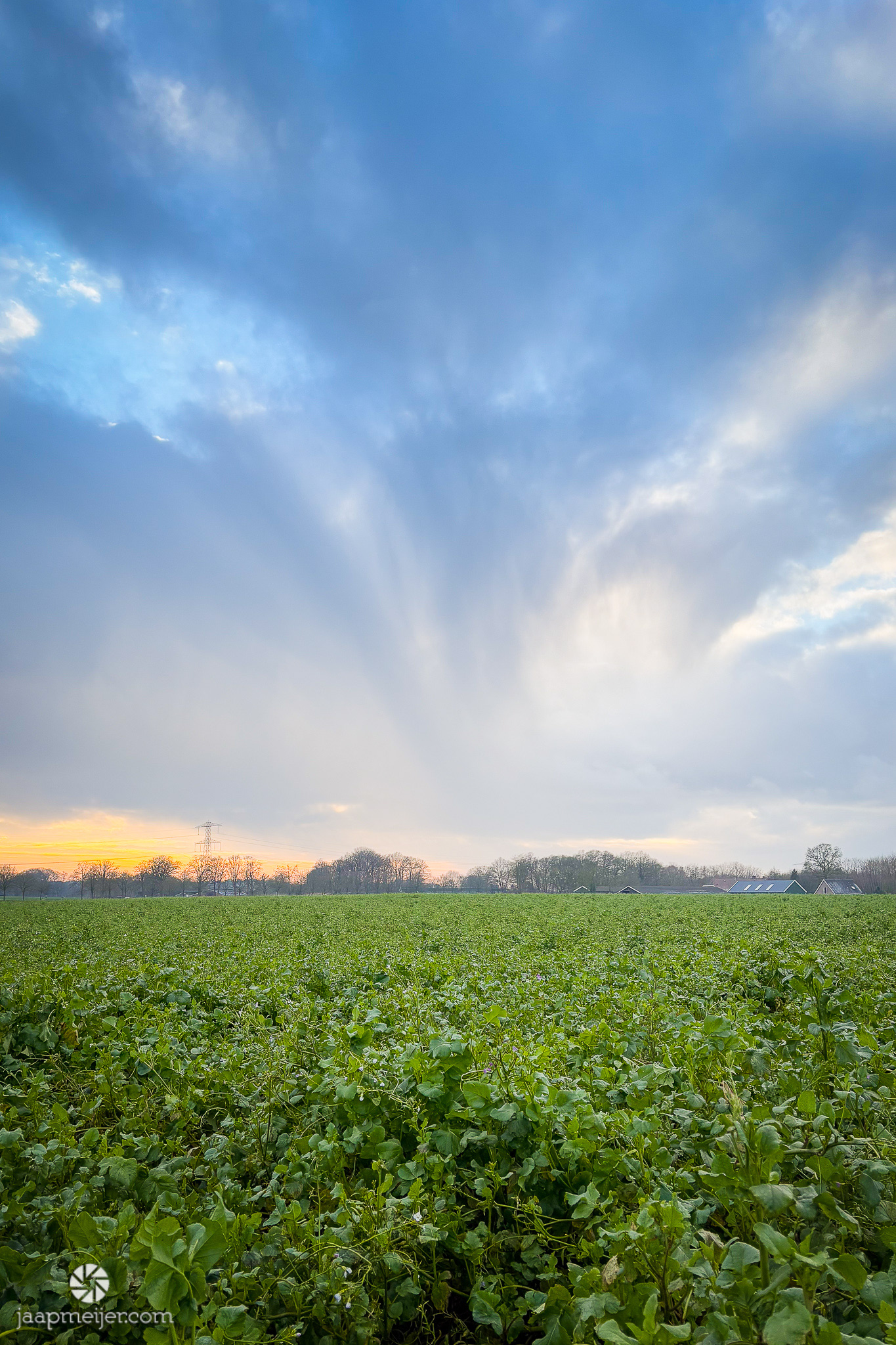 Fraaie luchten boven de aardappelen