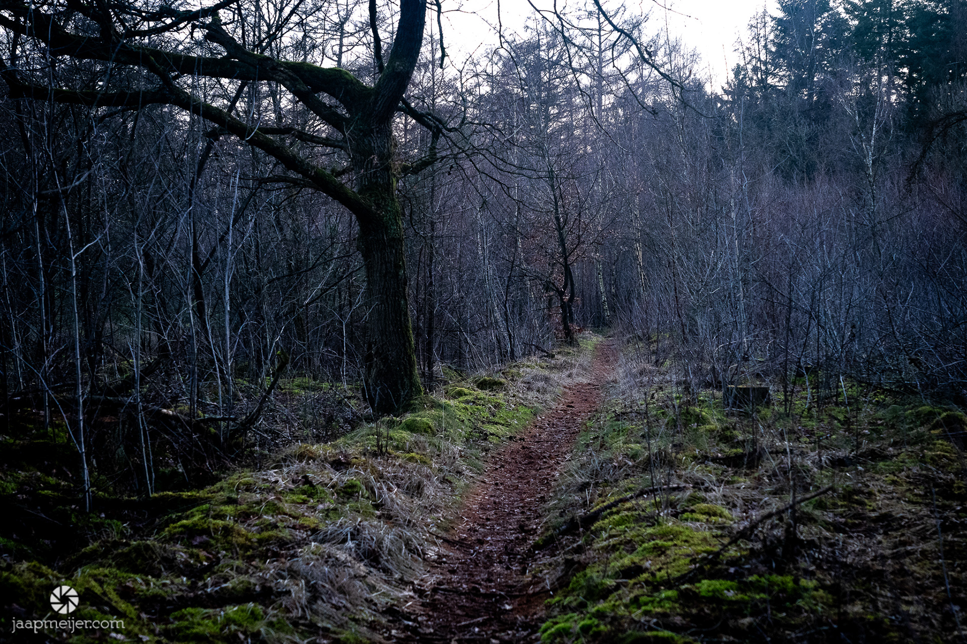 Ik moet doorlopen wil ik voor het donker 'binnen' zijn. 