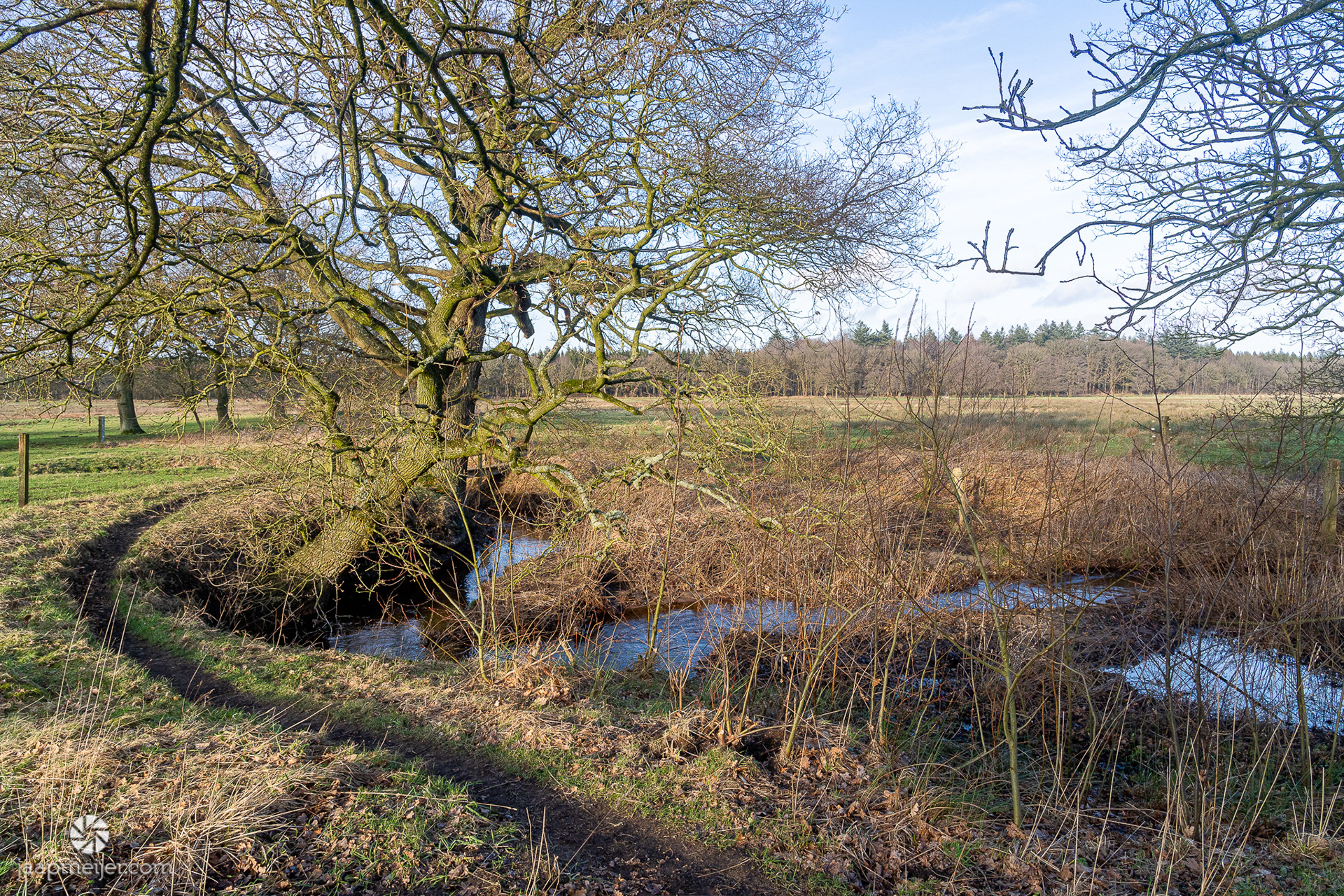 De voorde (doorwaadbare plaats) in het Andersche Diep
