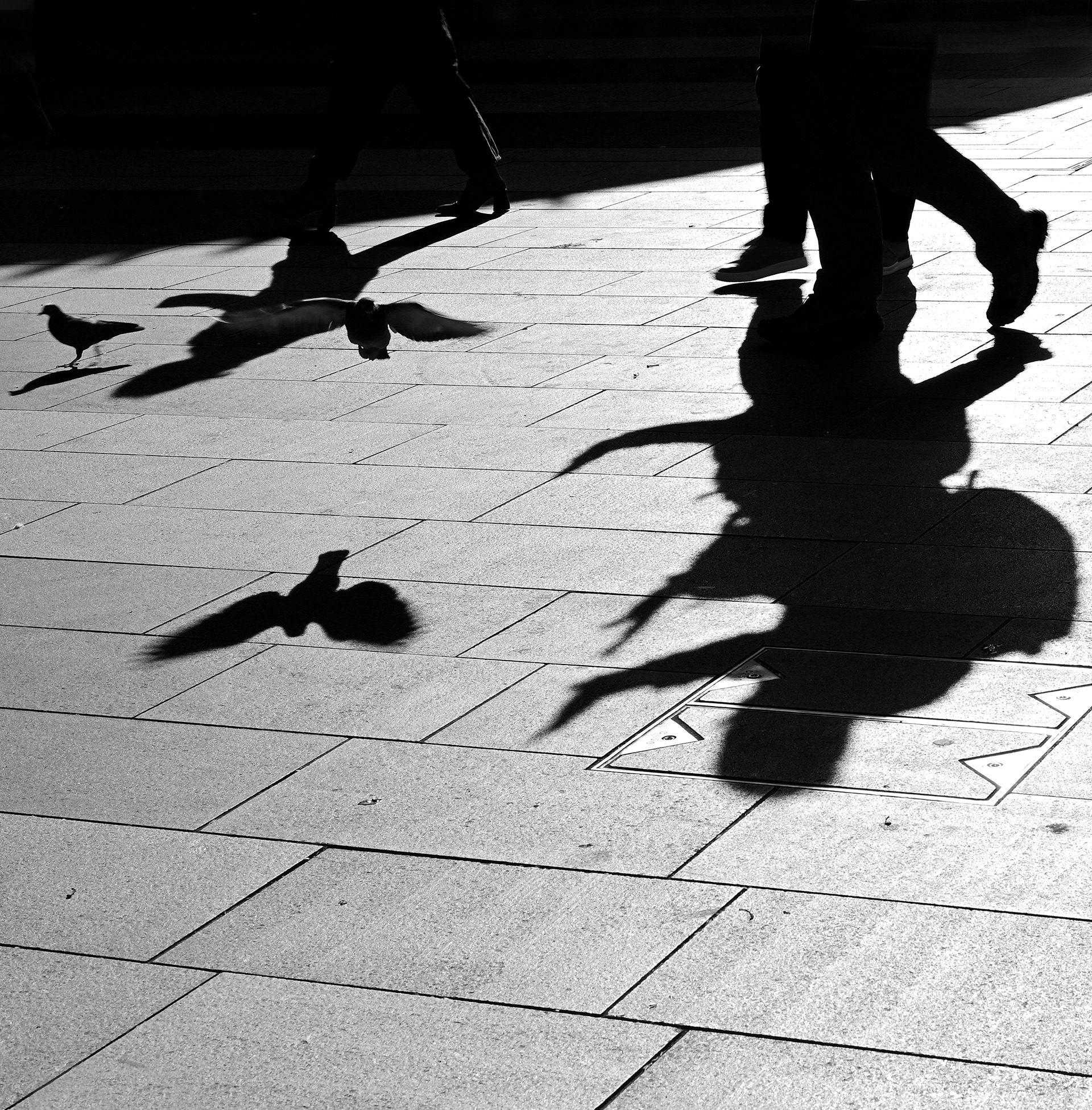 Shadows, Kings Cross