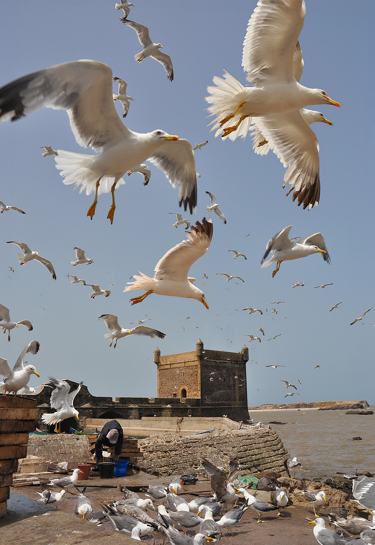 Essaouira, Morocco
