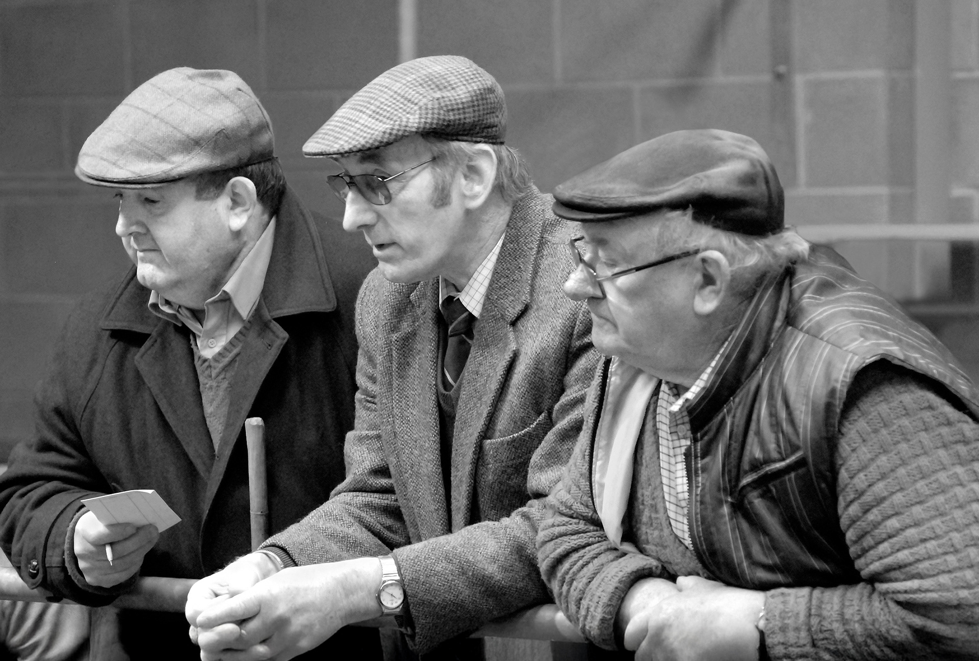 3 gadgies, Thirsk Auction Mart