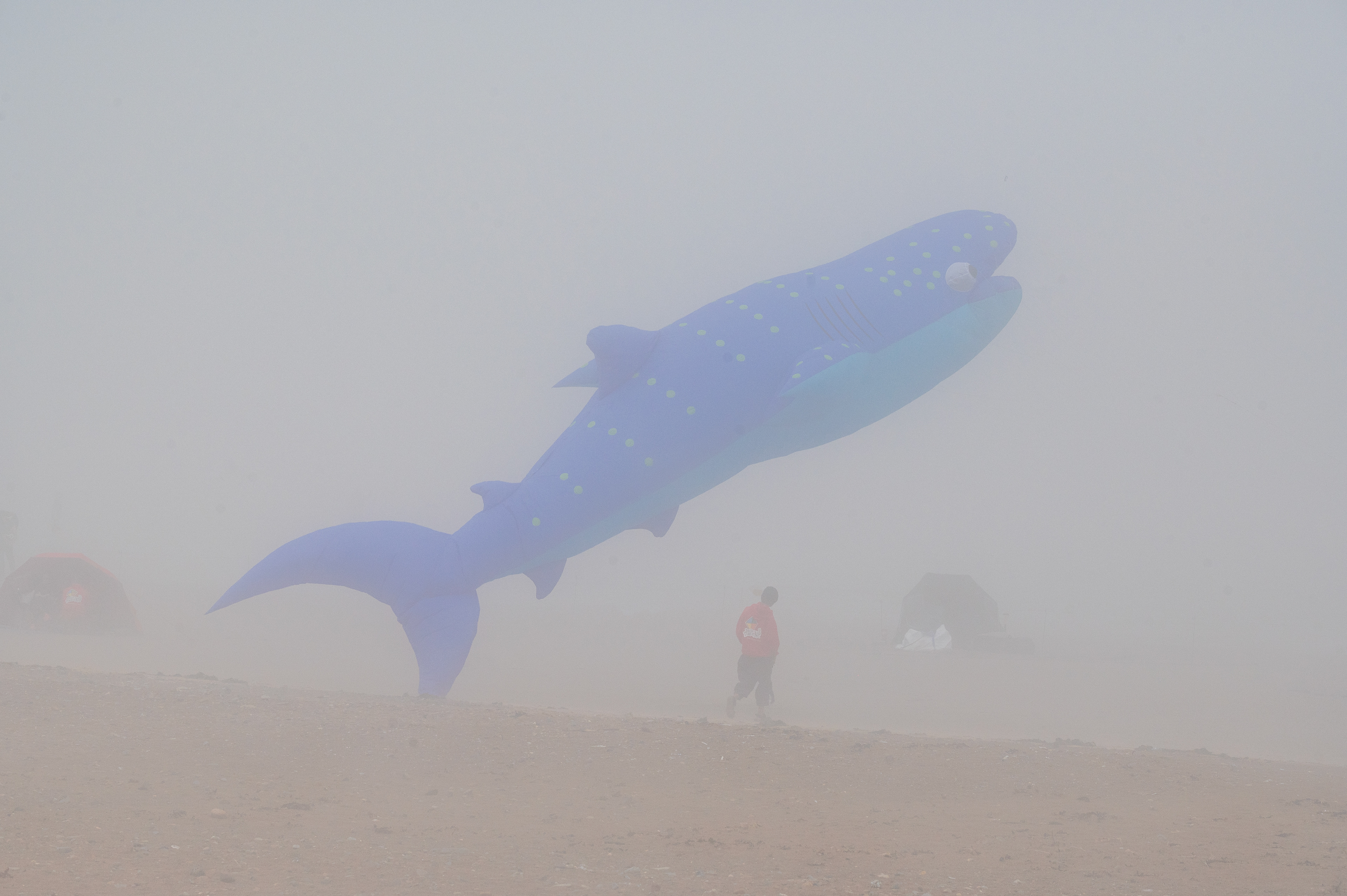 Redcar kite festival... in the fog
