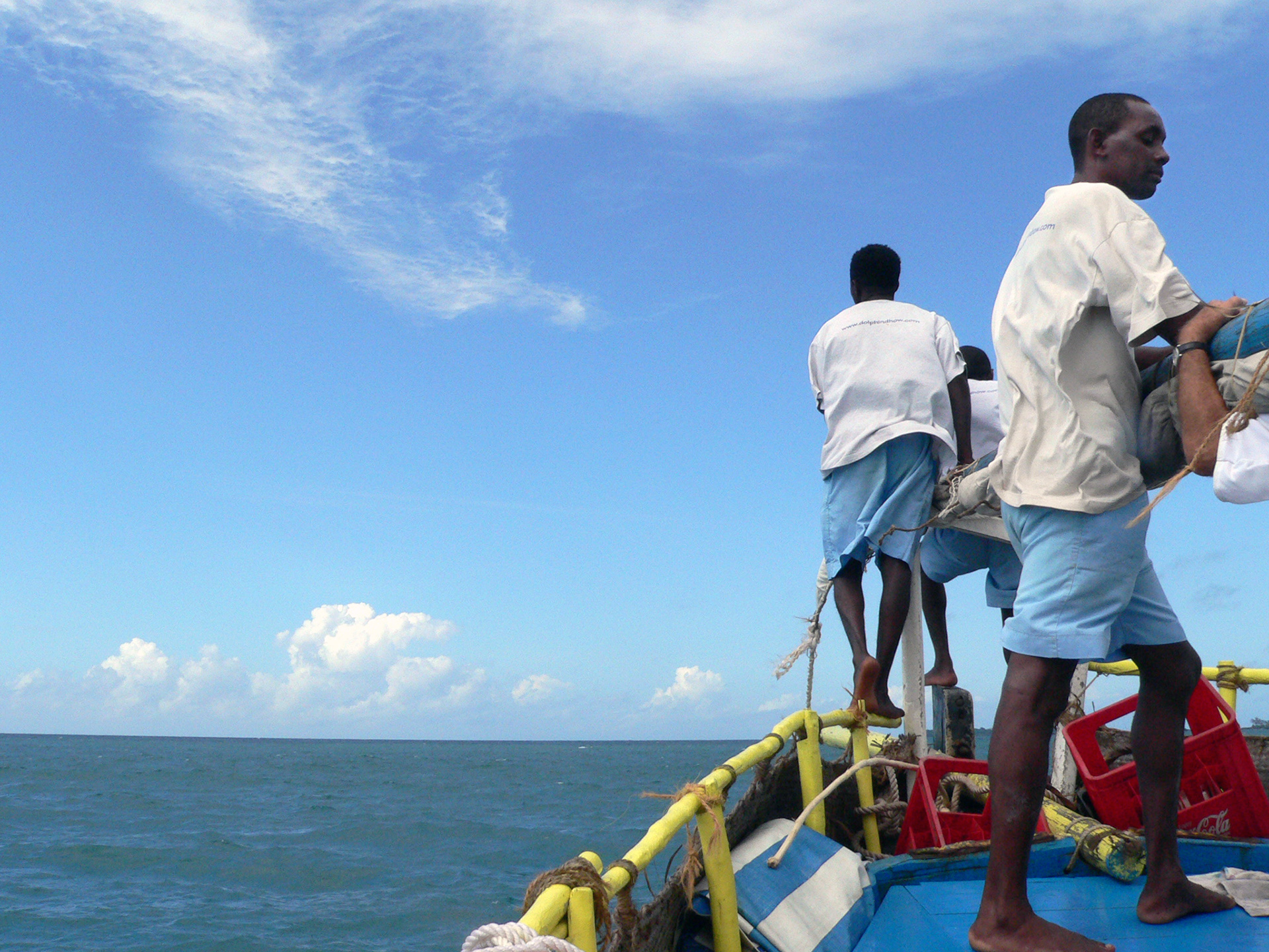 Dolphin-hunting, Wasini, Kenya