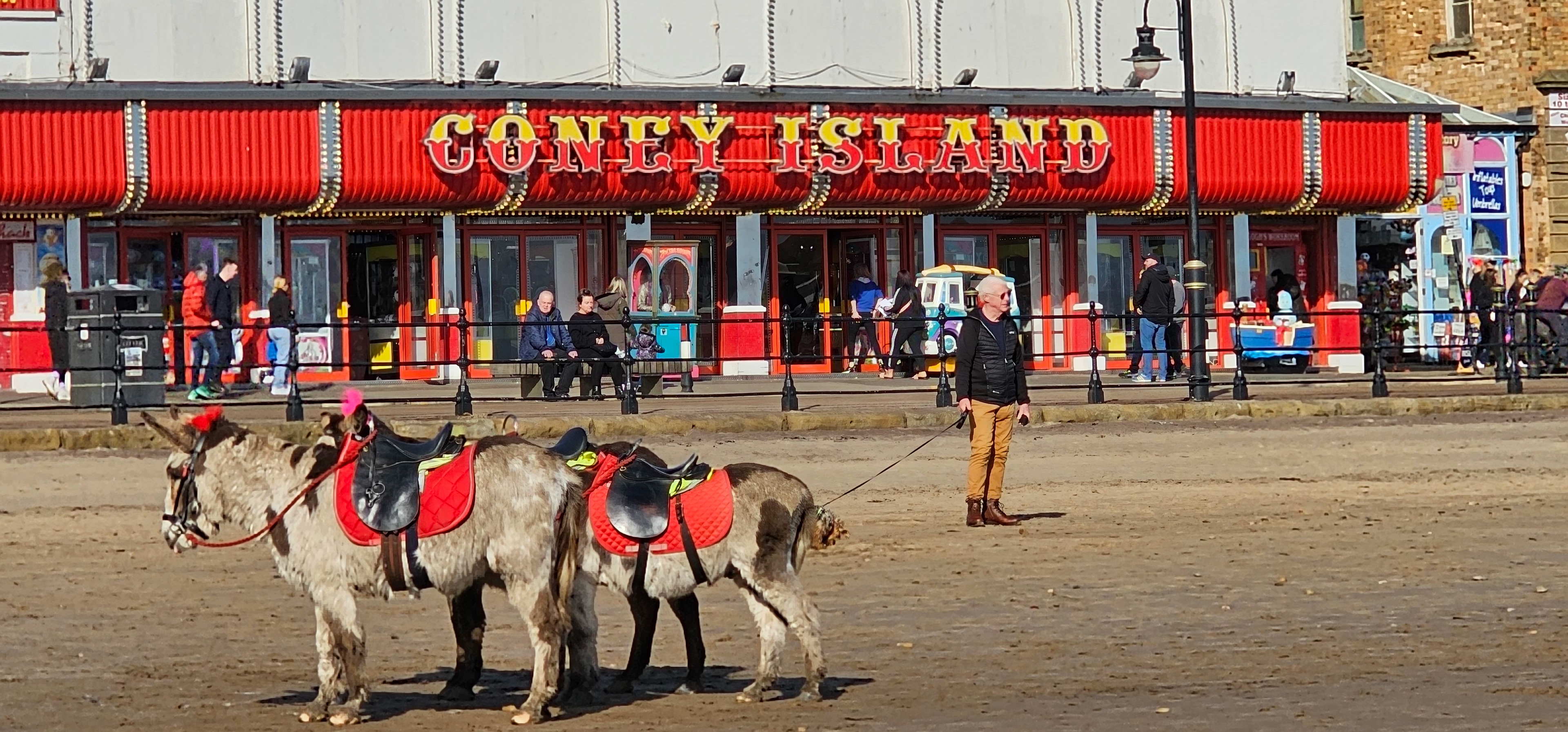 Donkey rides, Scarborough
