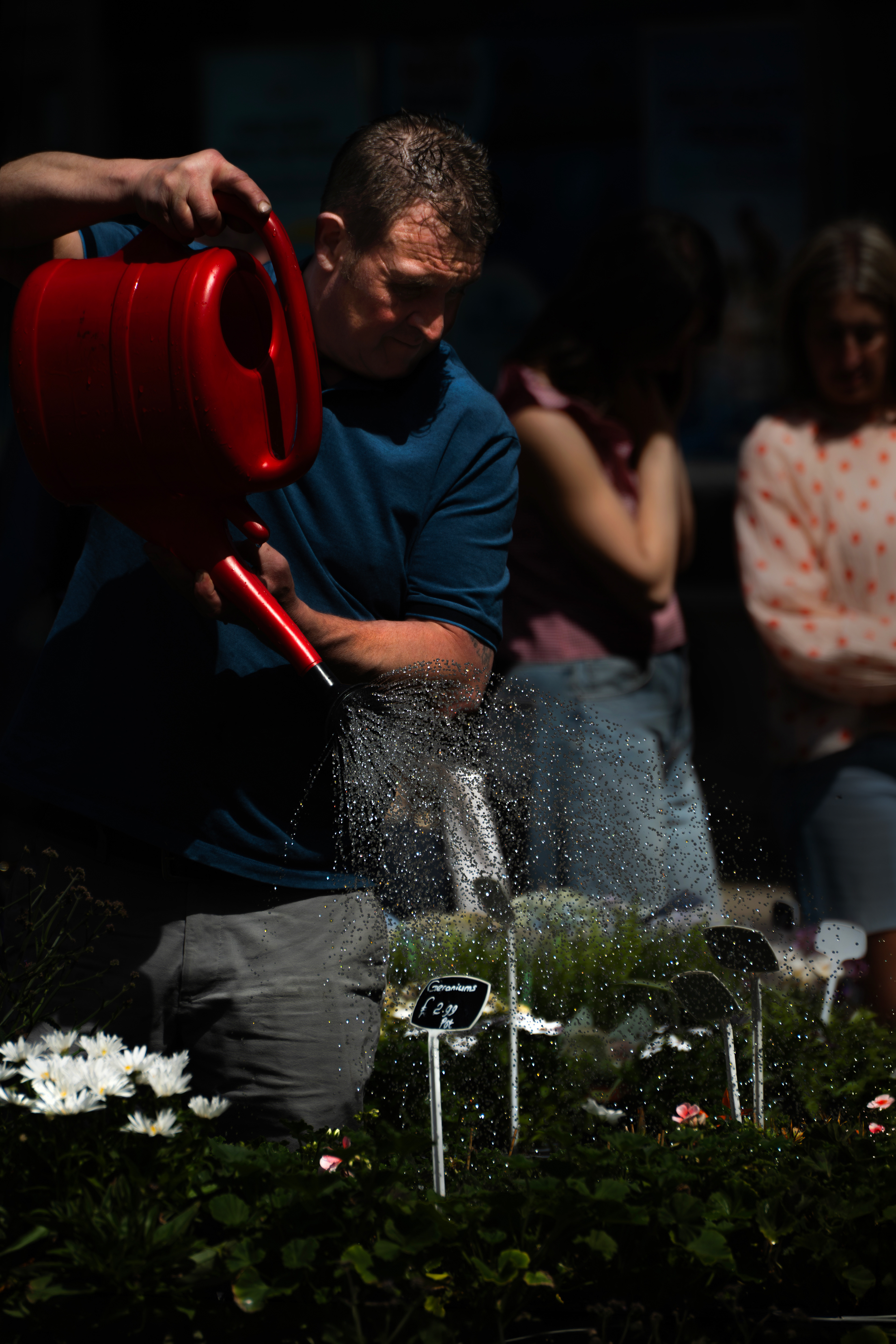 Heatwave, Shambles market, York