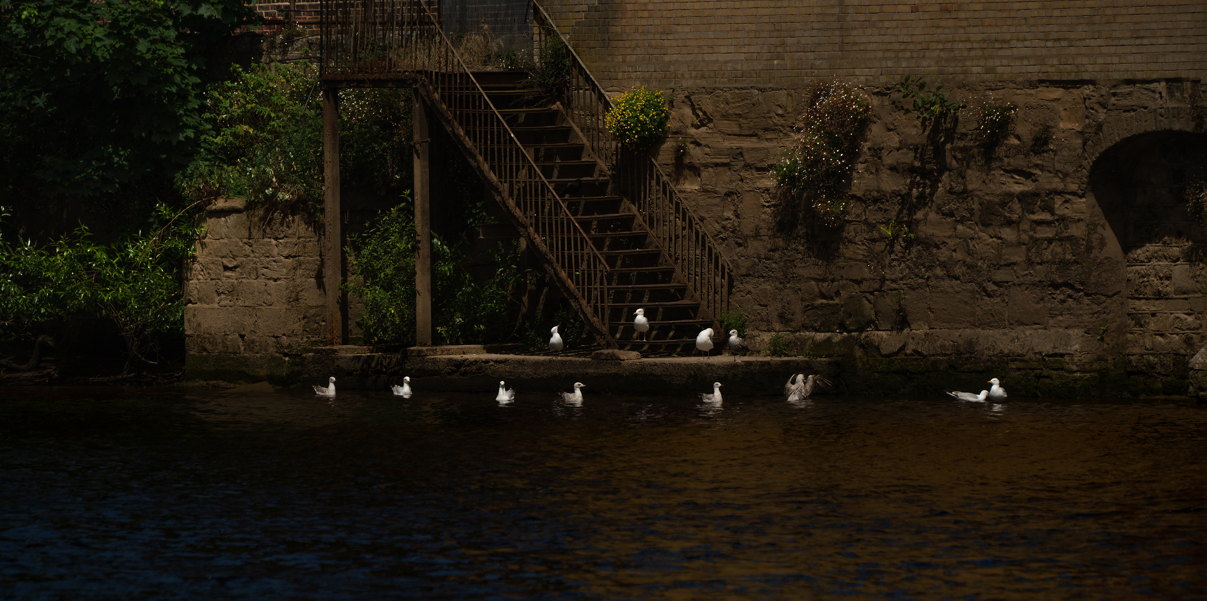 Riverside, centre of York