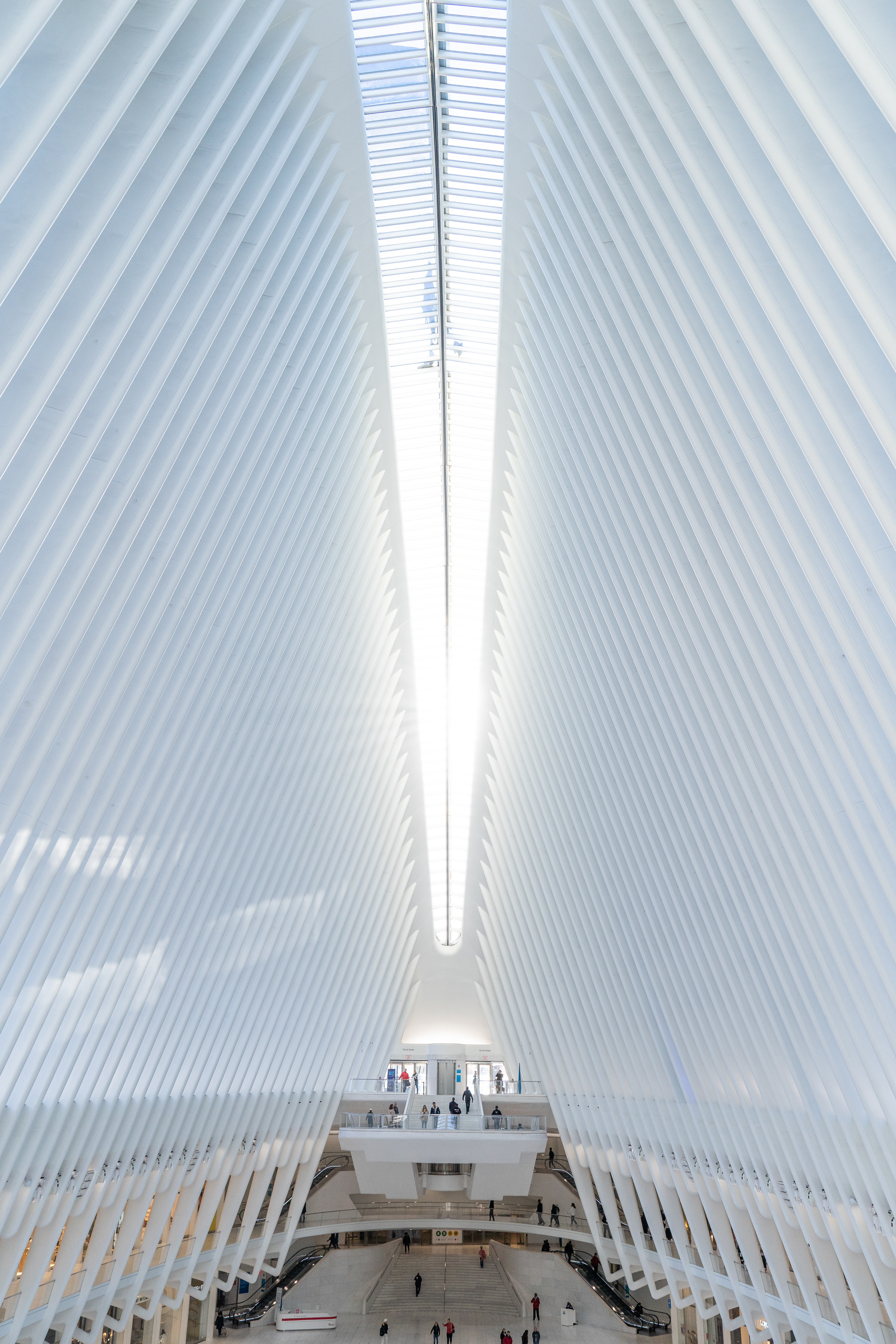 New York 2022