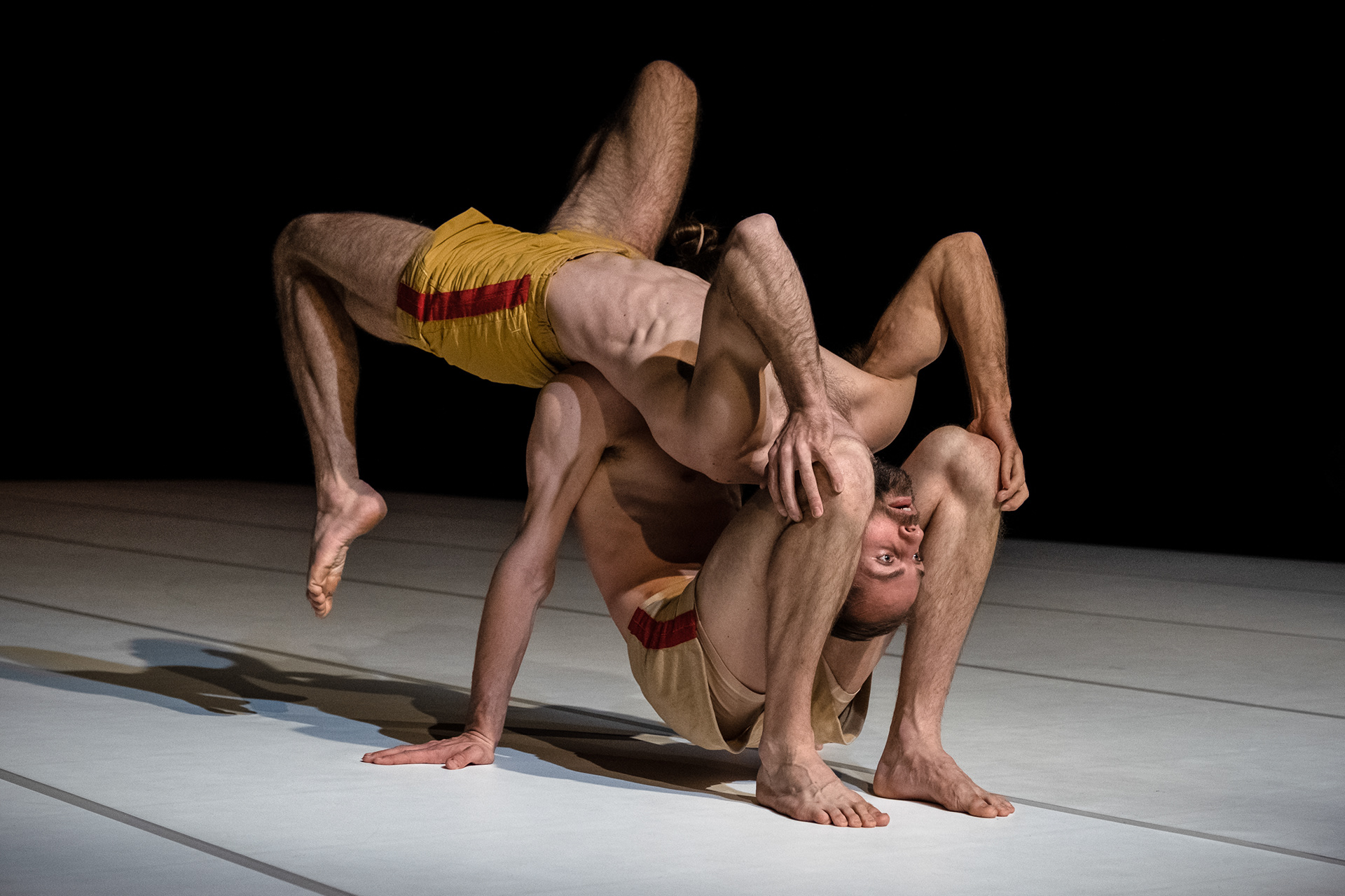 Alexander Vantournhout & Axel Guérin: Through the Grapevine
