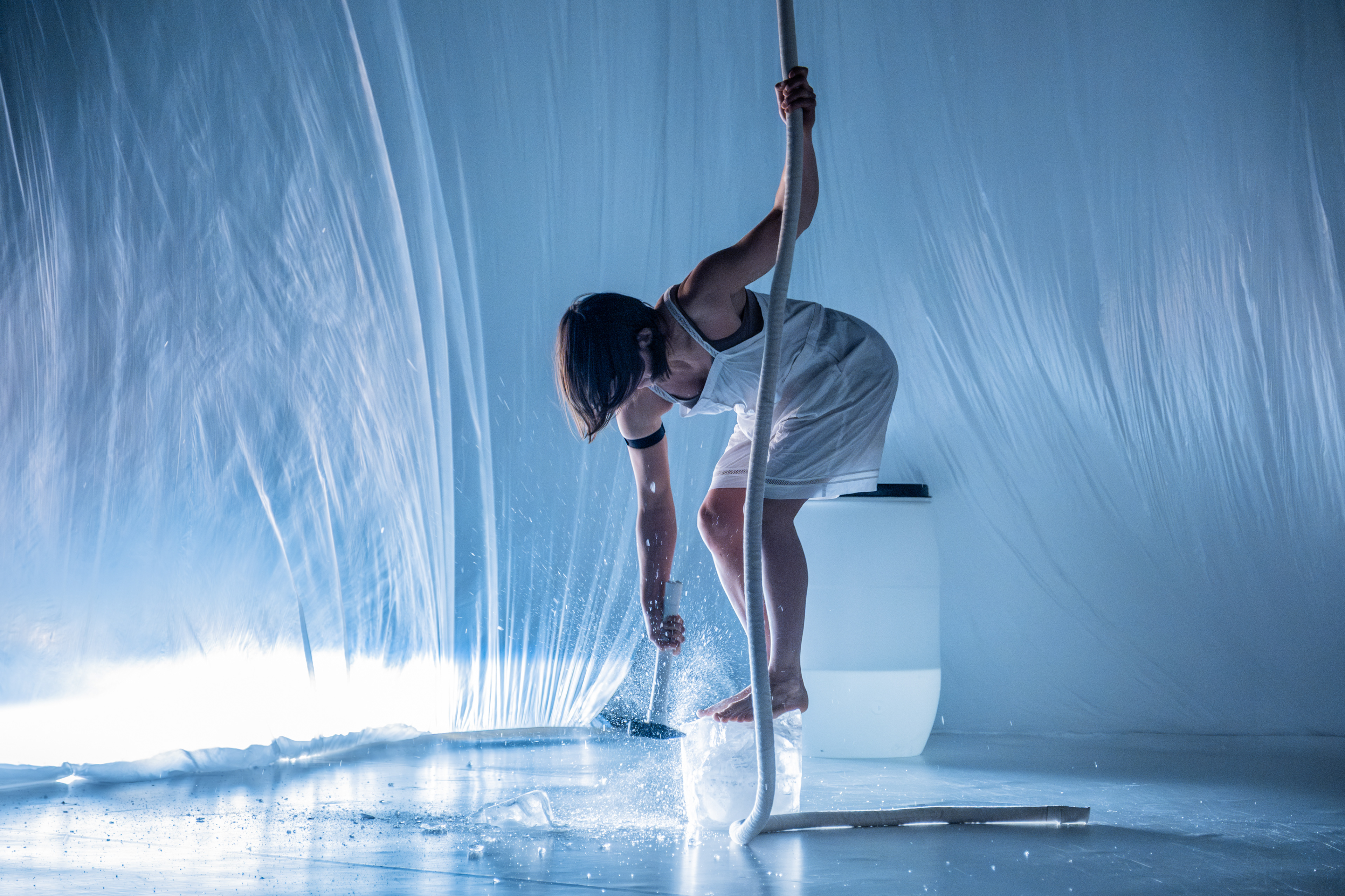 Alžběta Tichá — Frekvence