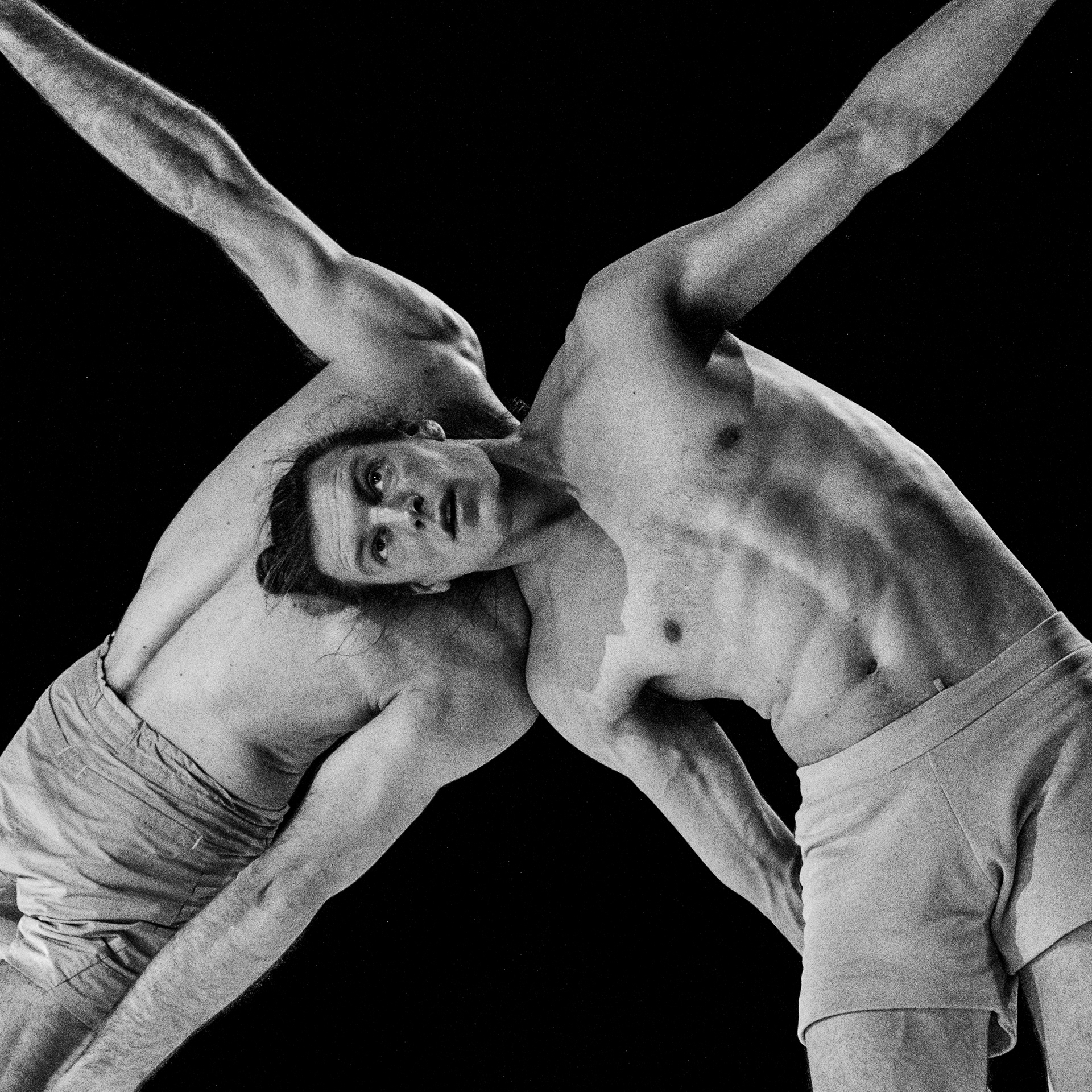 Alexander Vantournhout & Axel Guérin: Through the Grapevine