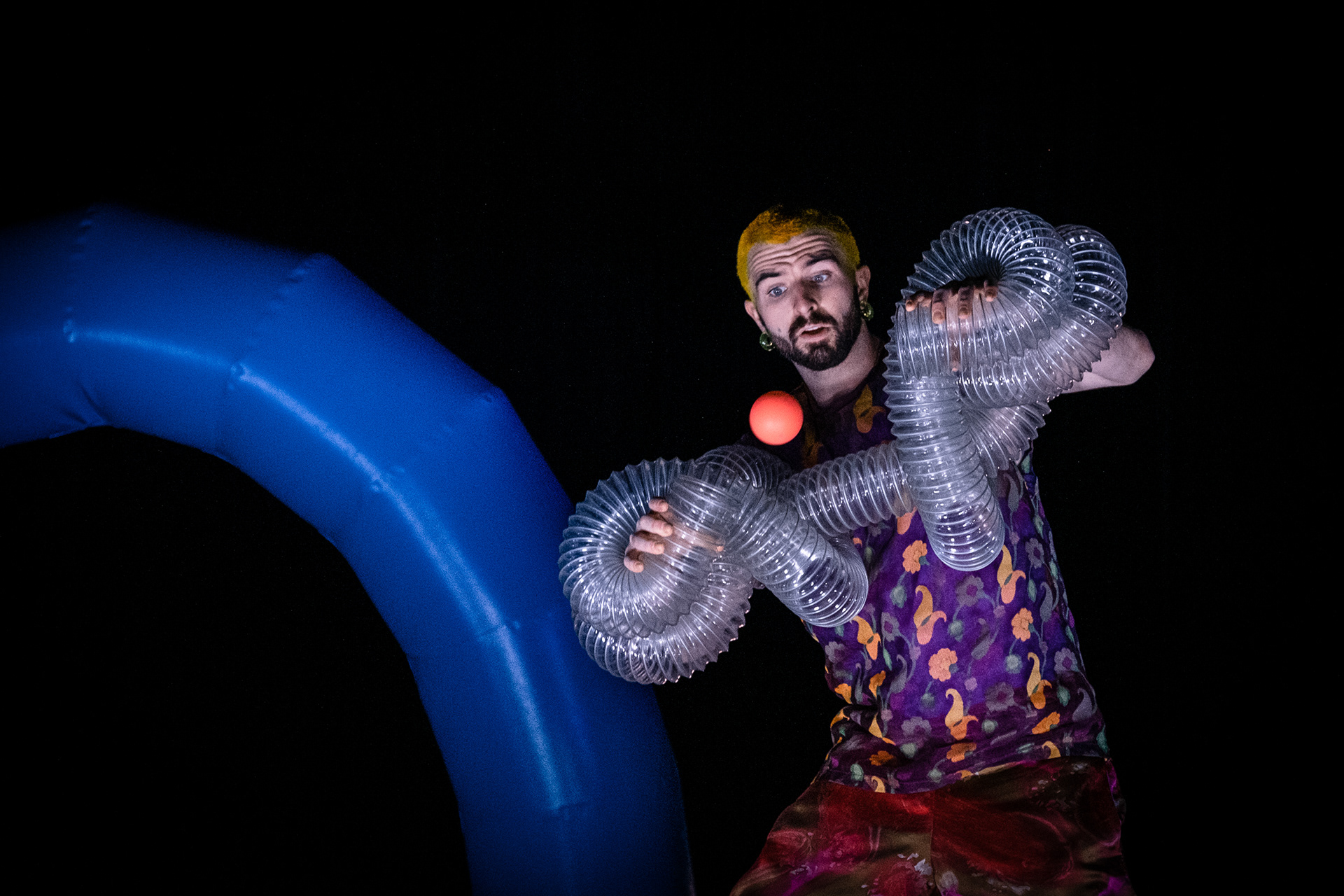Wes Peden: Rollercoaster