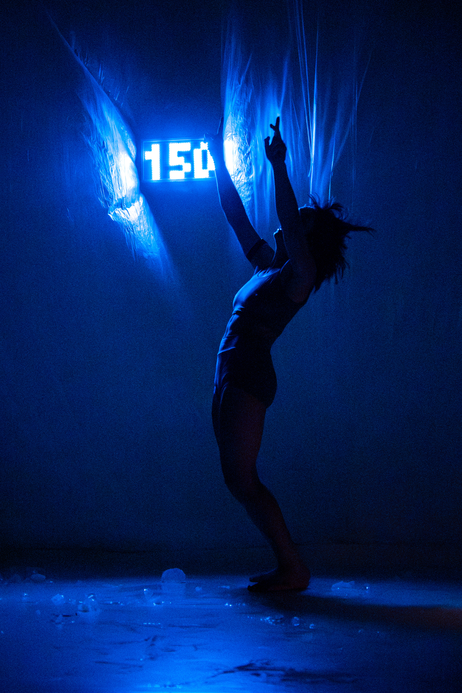 Alžběta Tichá — Frekvence