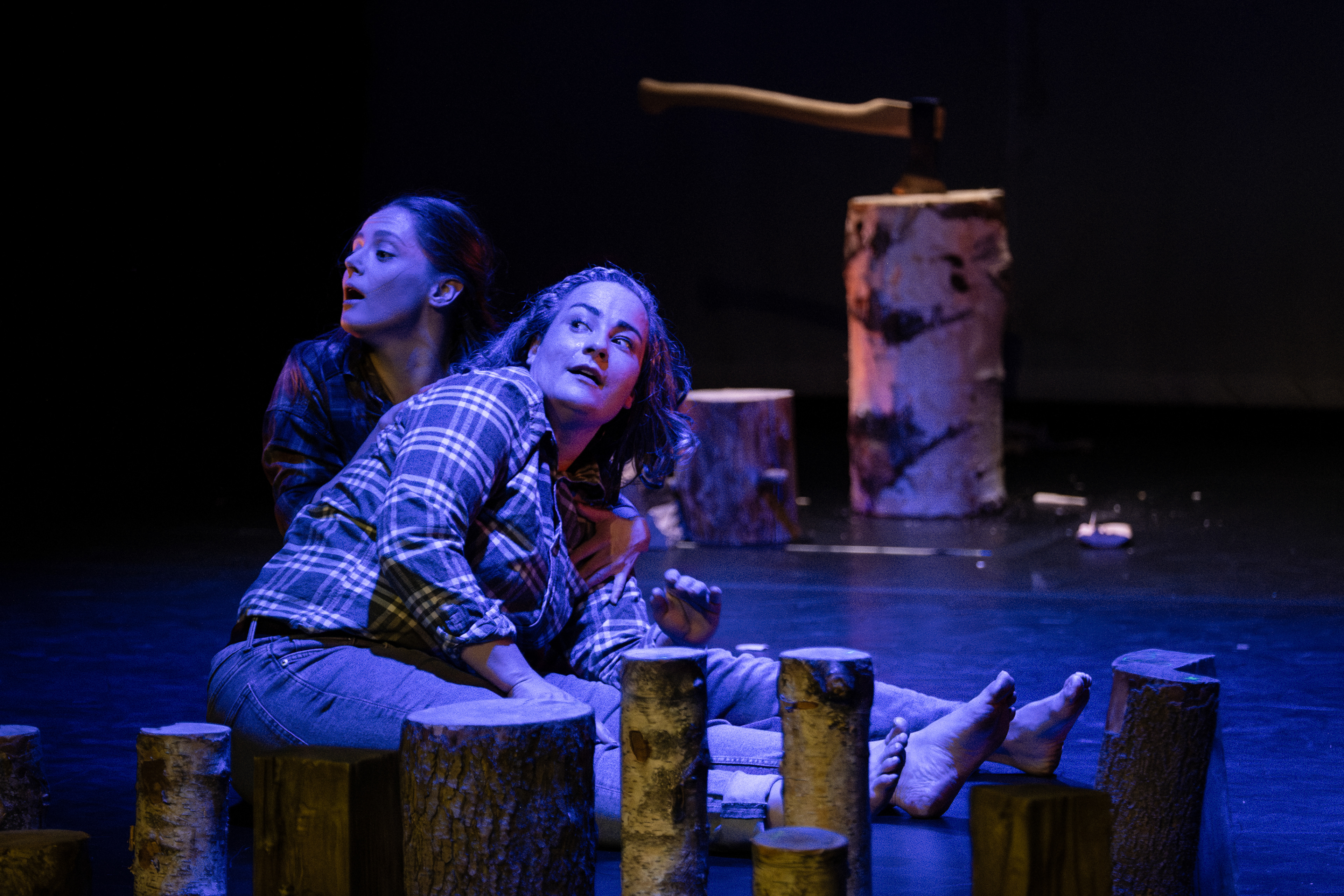 FysioART & MOVE Ostrava — Divoké husy