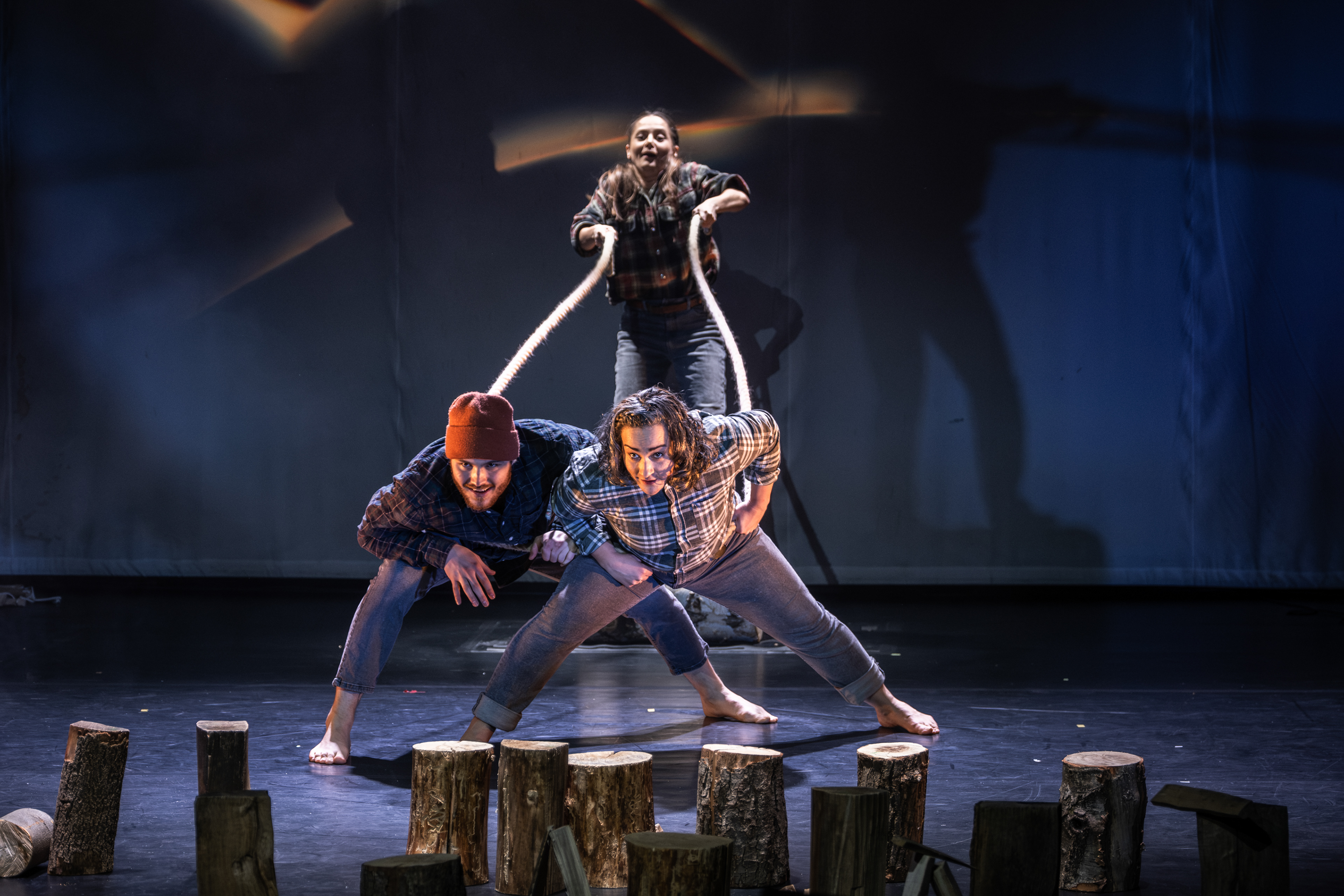 FysioART & MOVE Ostrava — Divoké husy