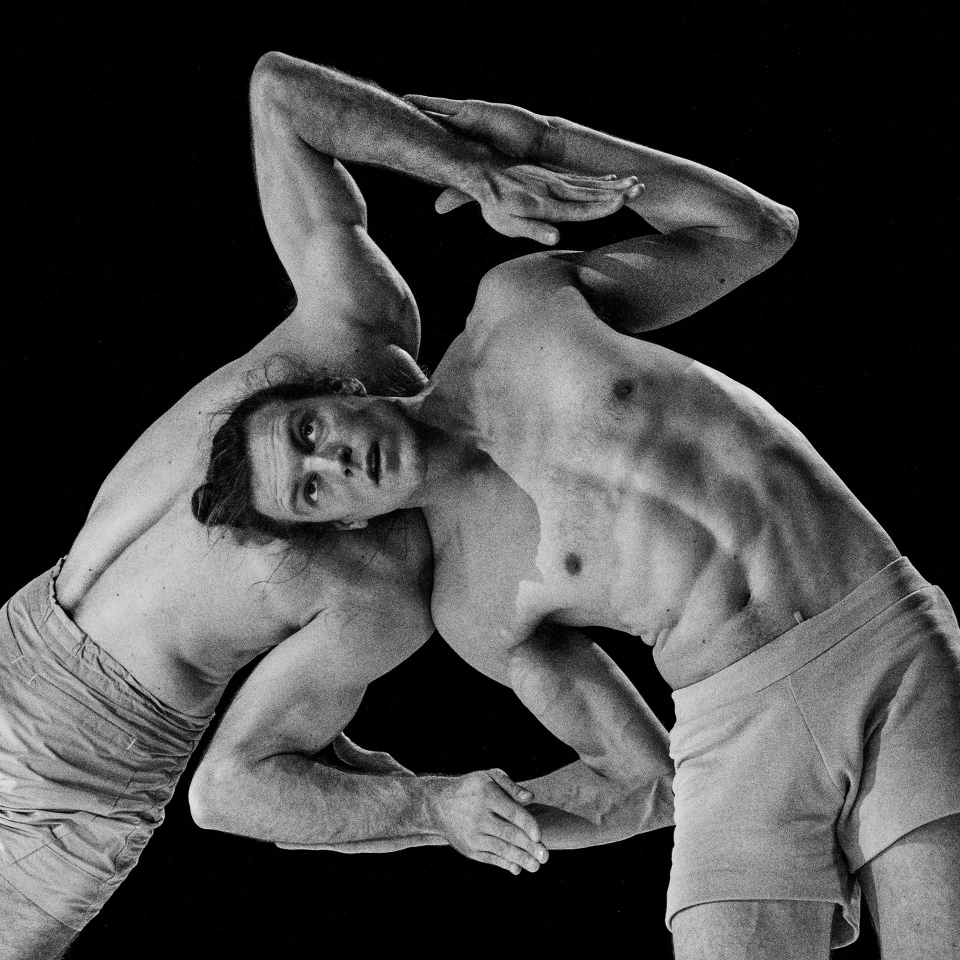 Alexander Vantournhout & Axel Guérin: Through the Grapevine