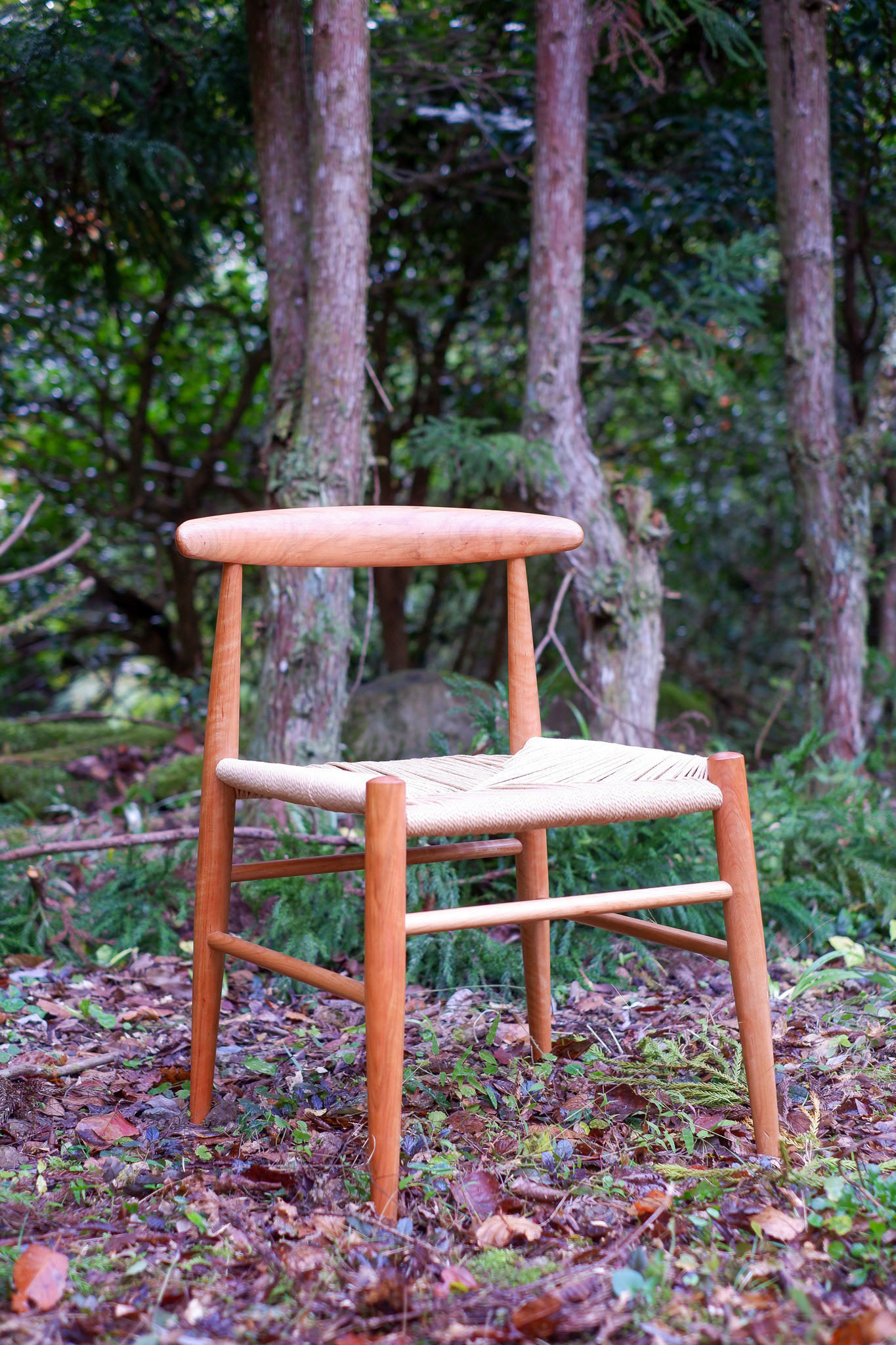 chair02 山桜