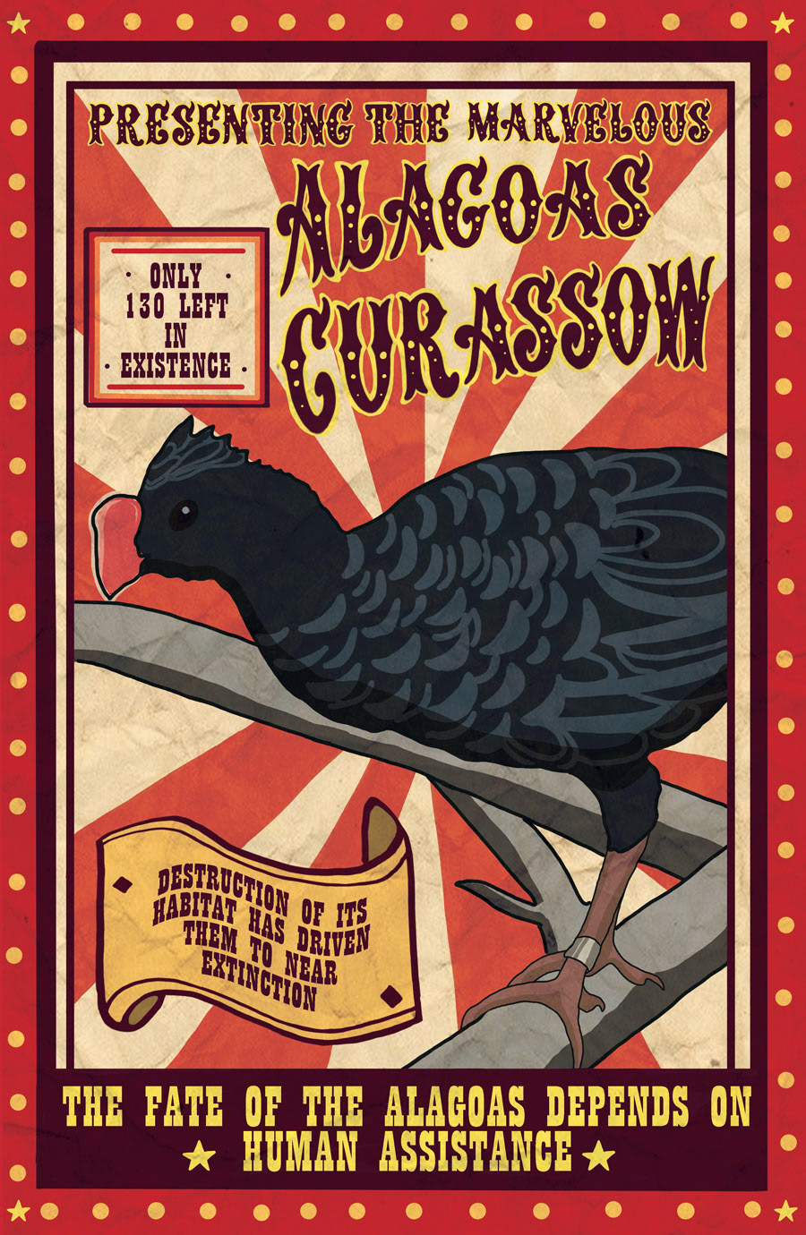 Alagoas Curassow Poster - Photoshop, 2022