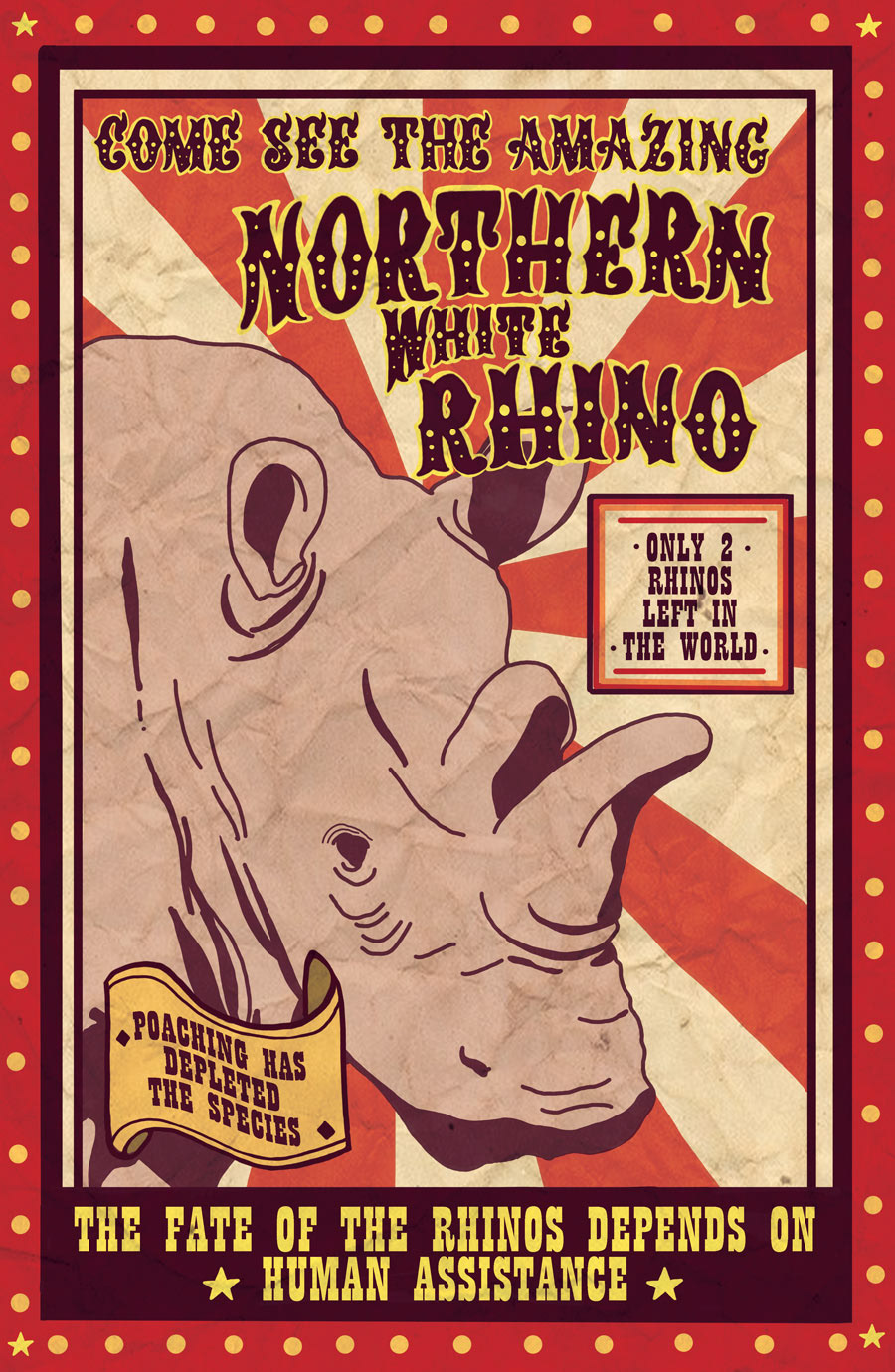 Northern White Rhino Poster - Photoshop, 2022