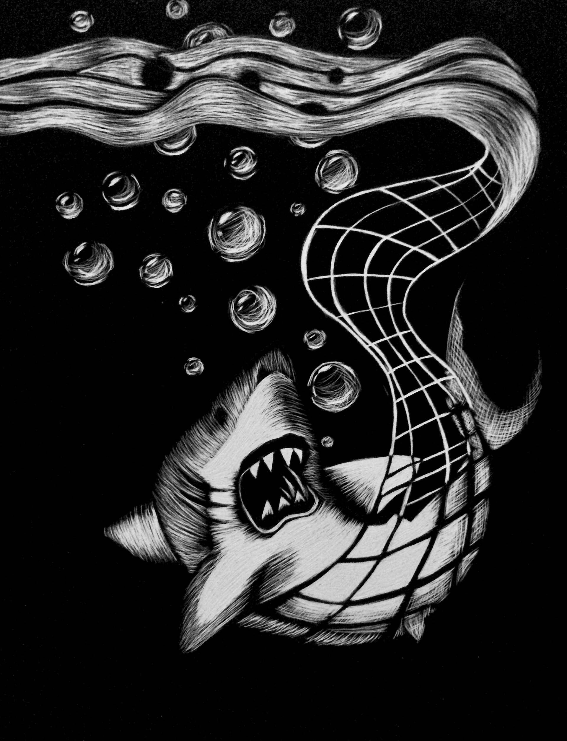 Captured - Scratchboard, 2020