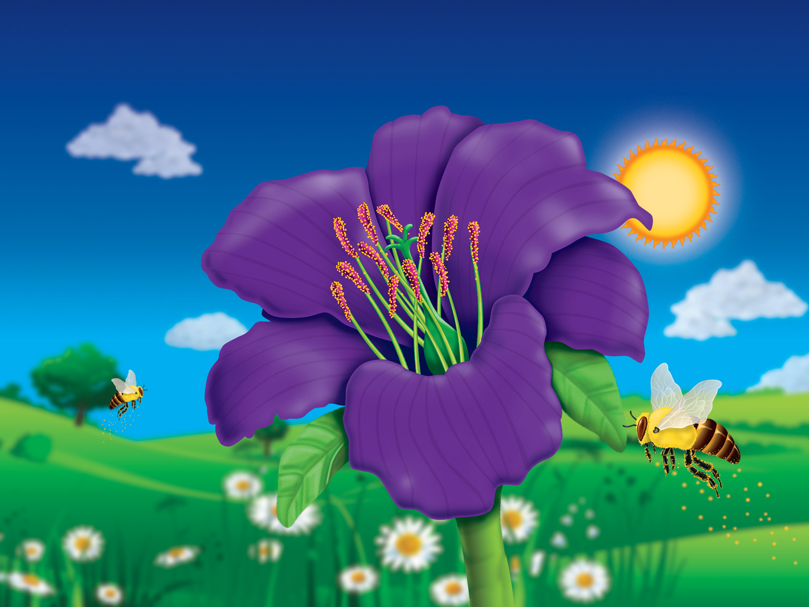 Pollination Graphic