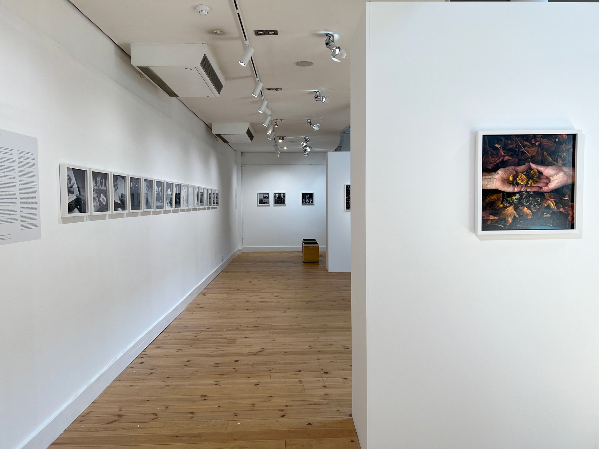 Ffotogallery Wales 2022