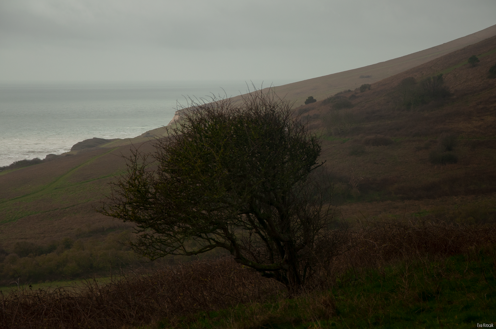 Eastbourne