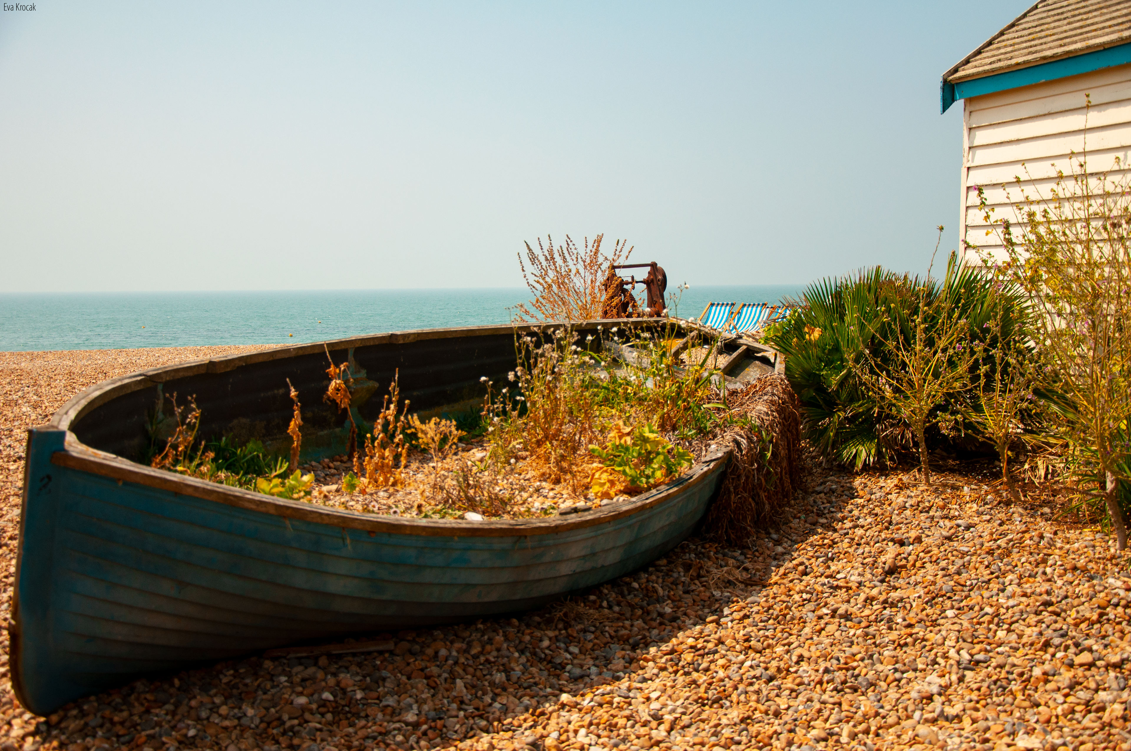 Brighton
