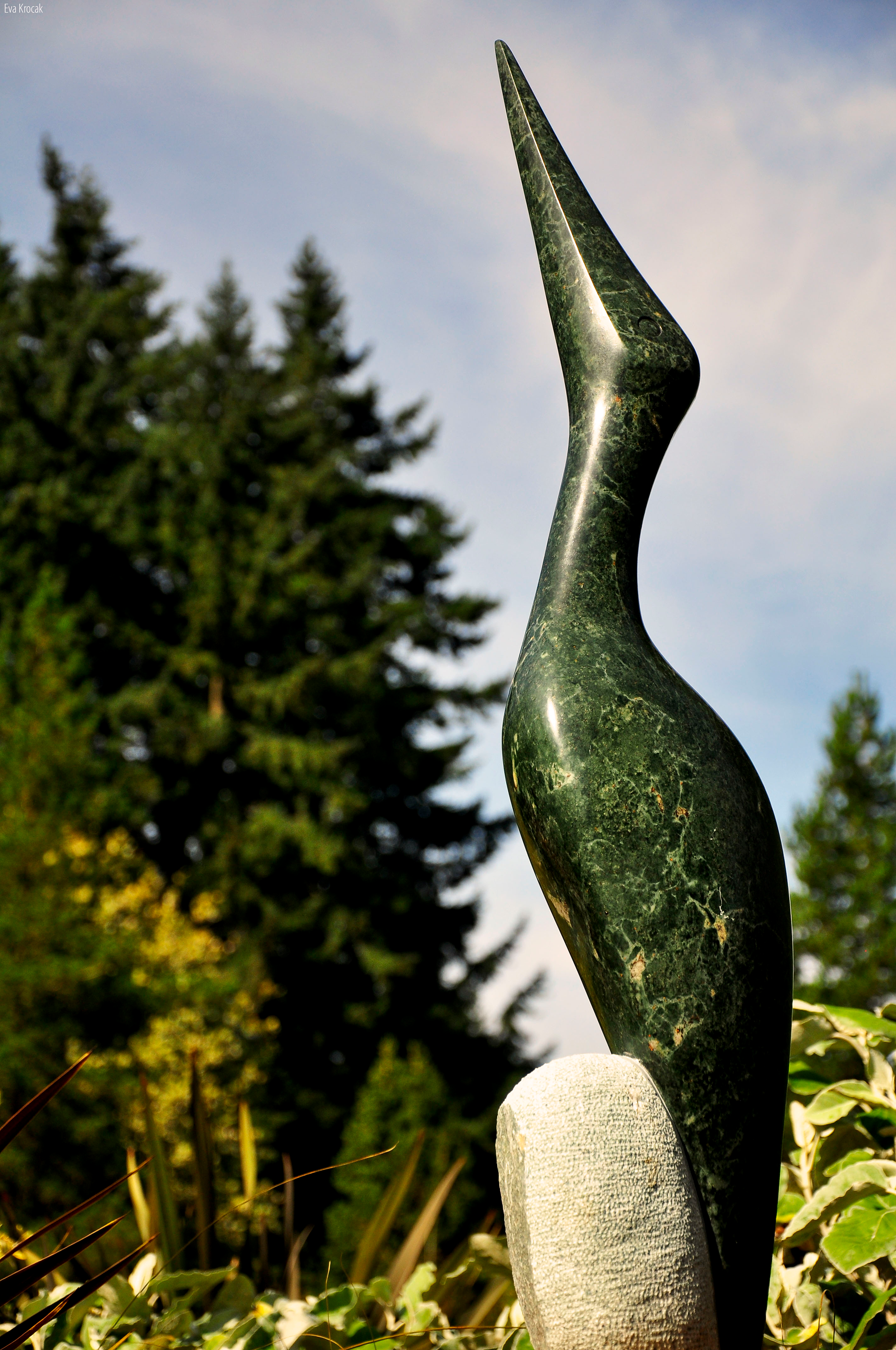 VanDusen Botanical Garden