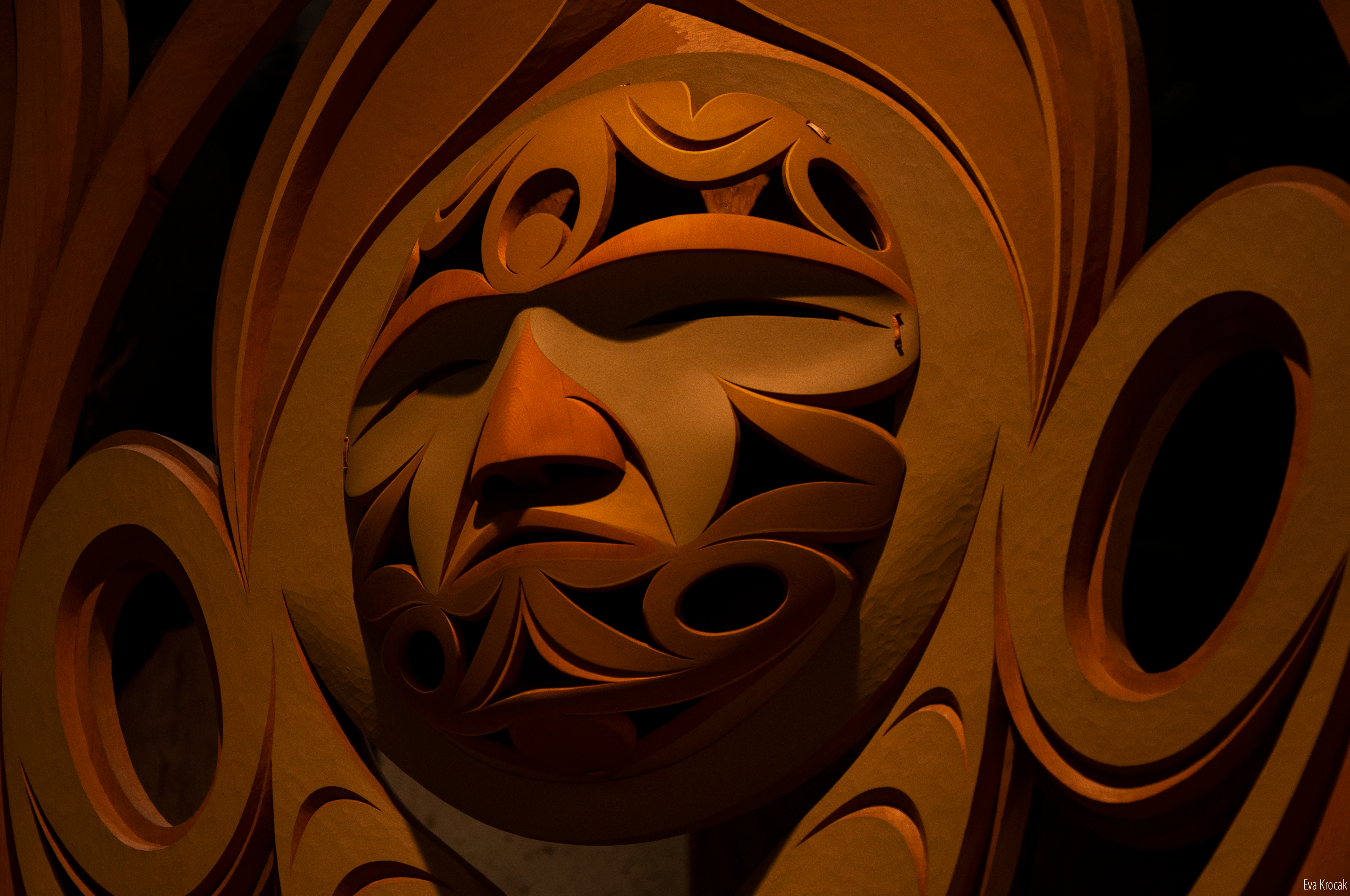 Museum of Anthropology