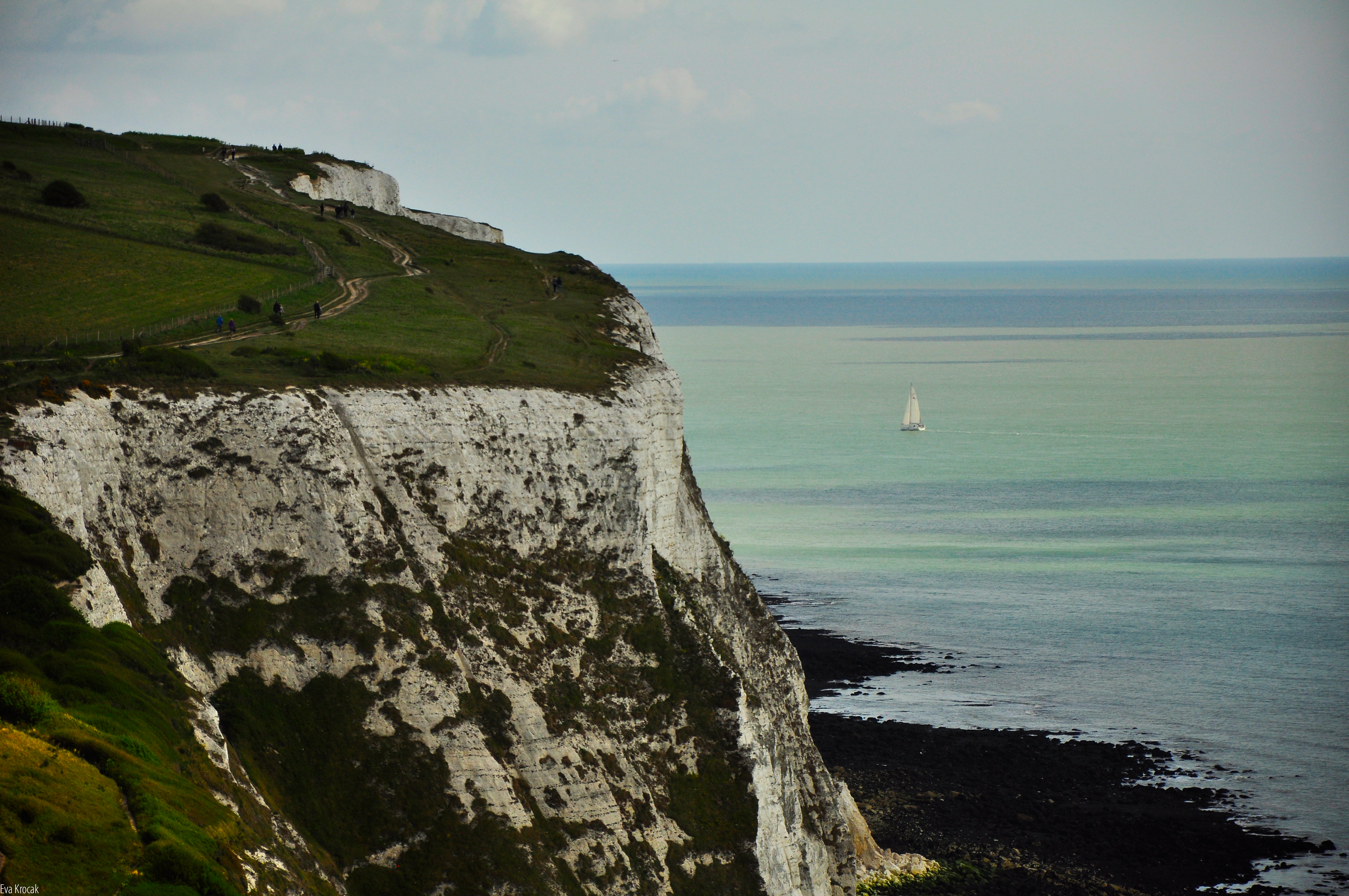 Dover