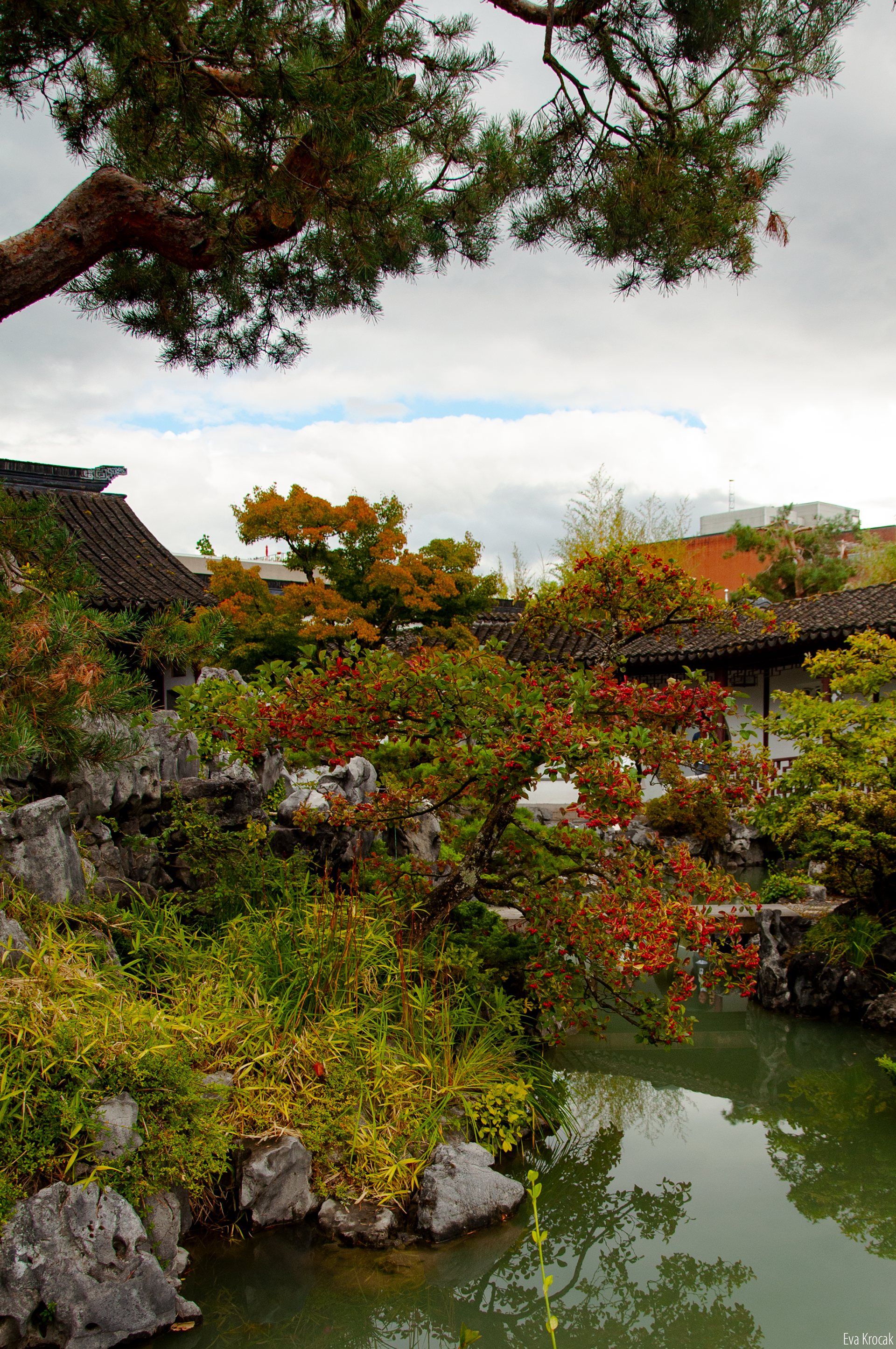 Dr. Sun Yat-Sen Classical Chinese Garden