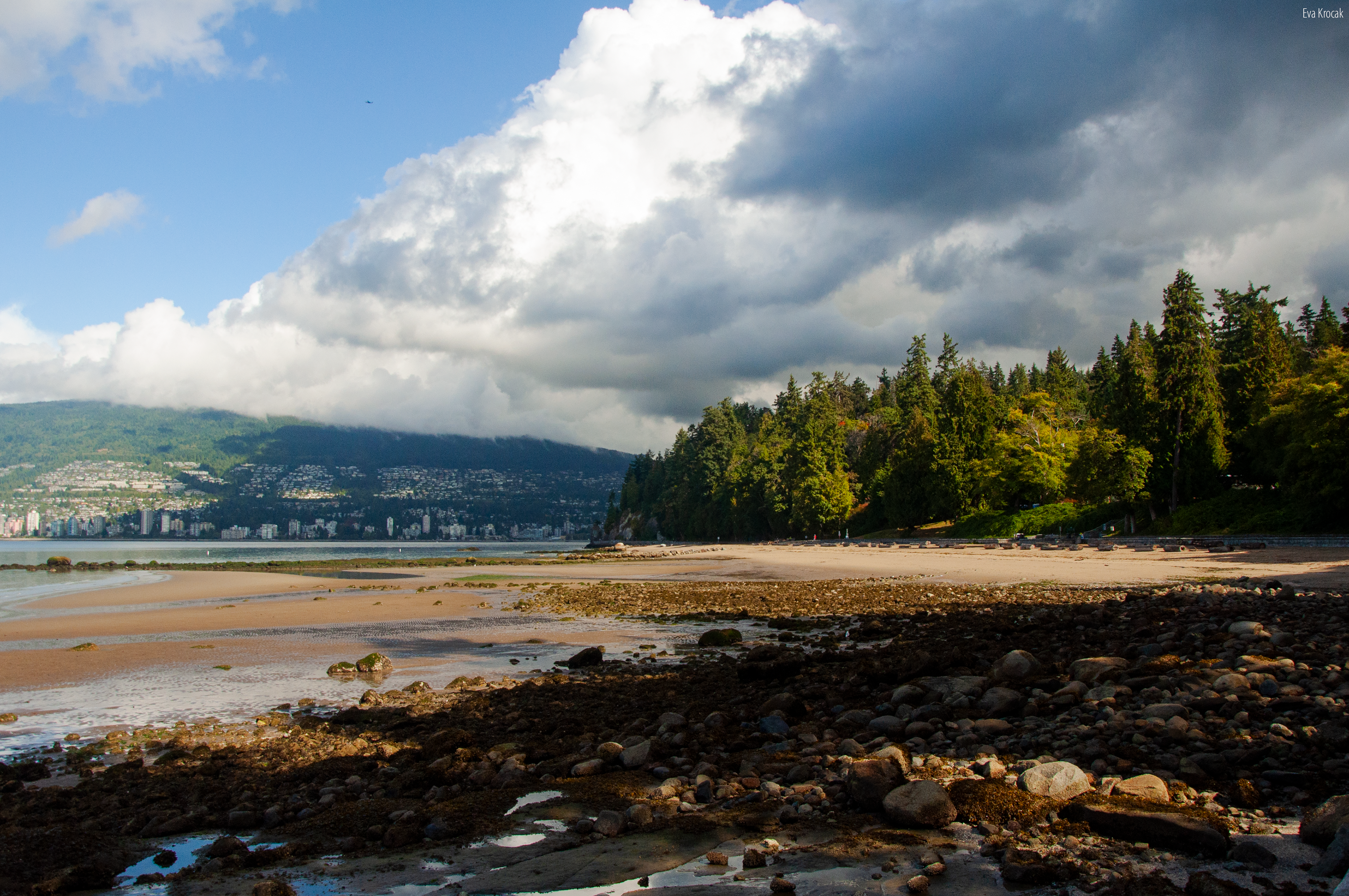 Stanley Park