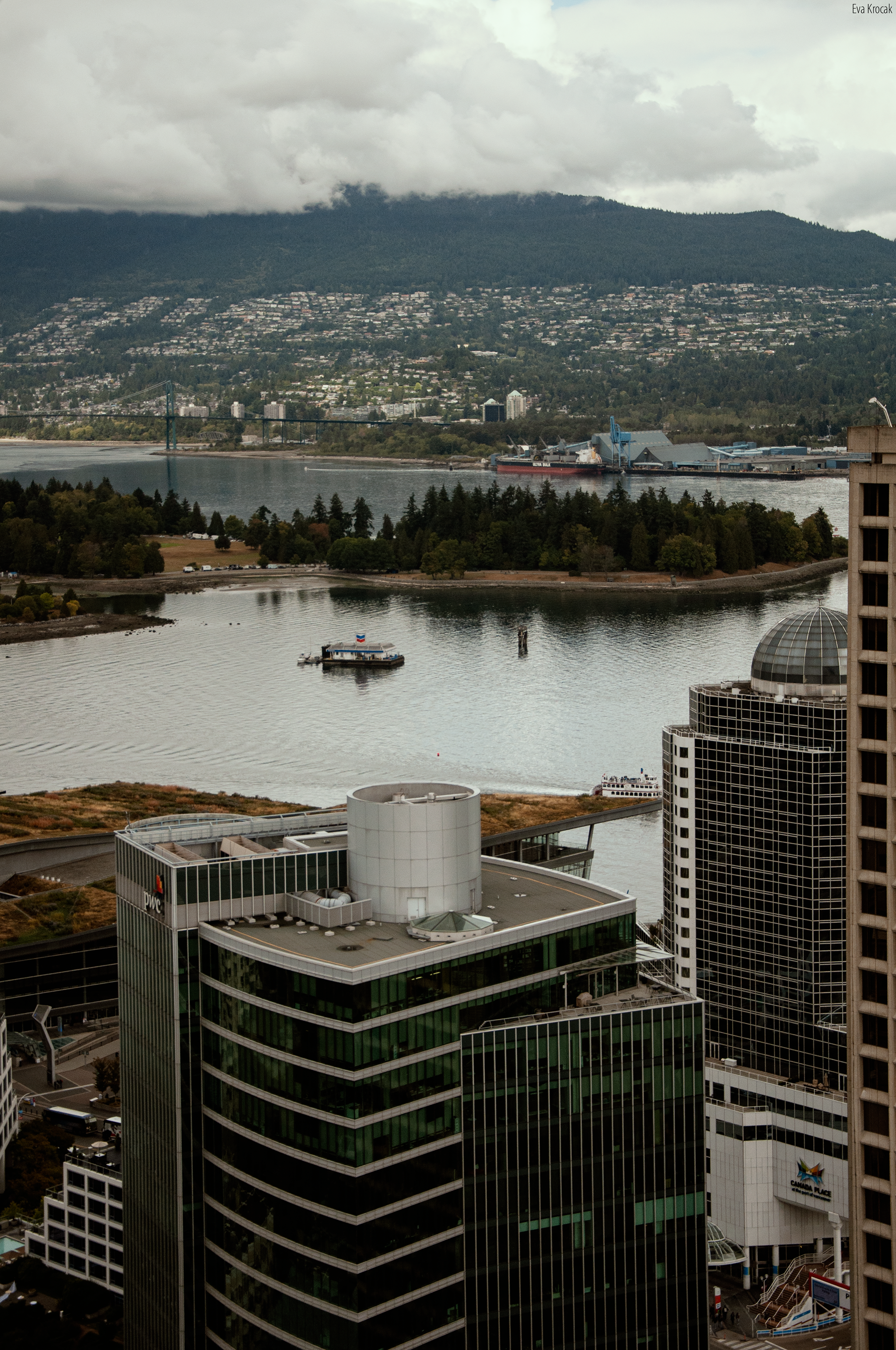 Vancouver Lookout