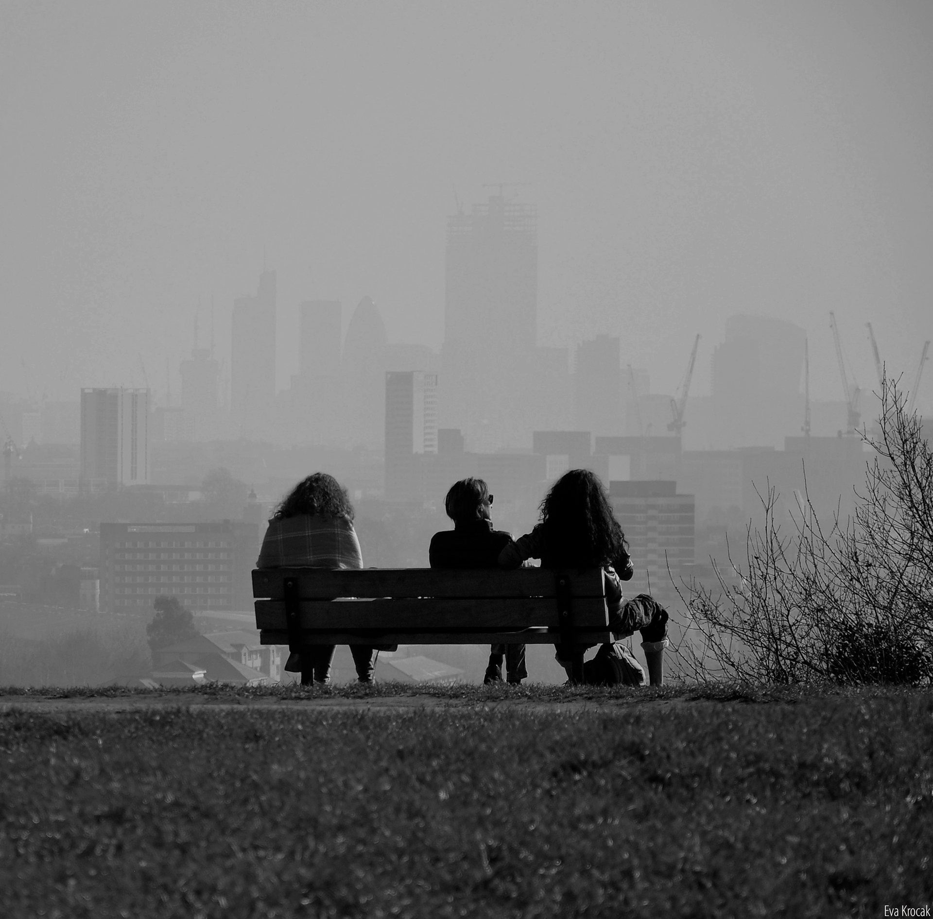 Hampstead Heath