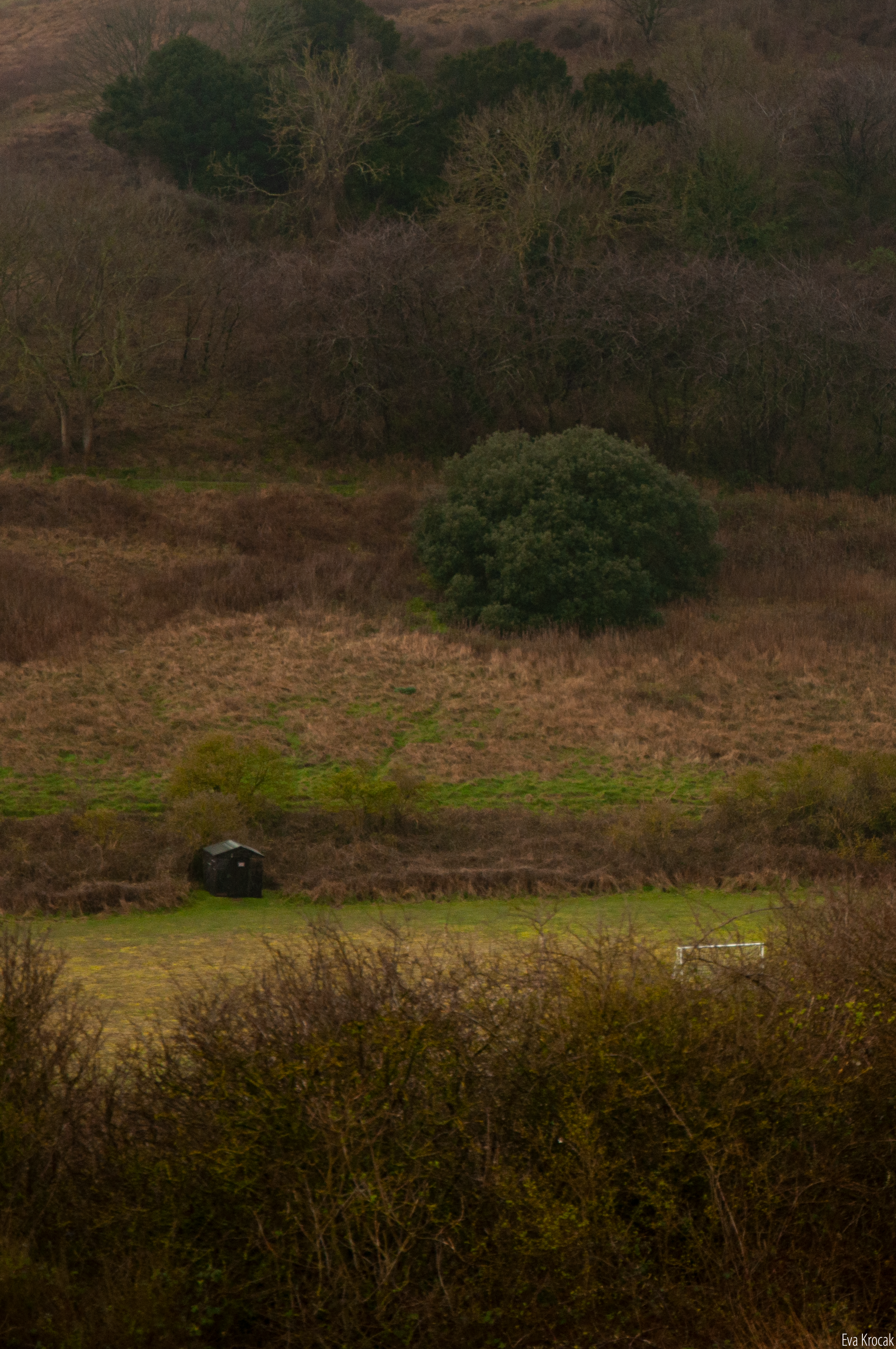 Eastbourne