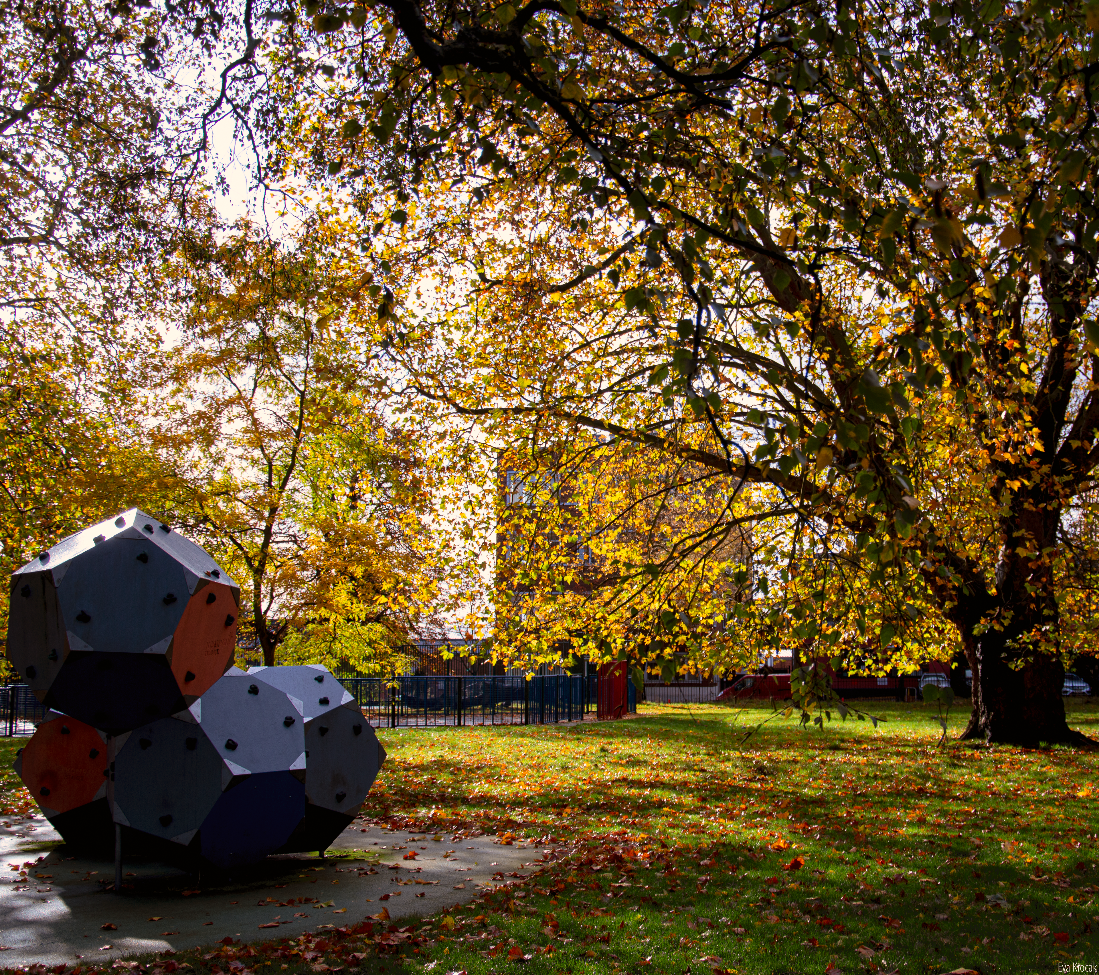 Acton Park