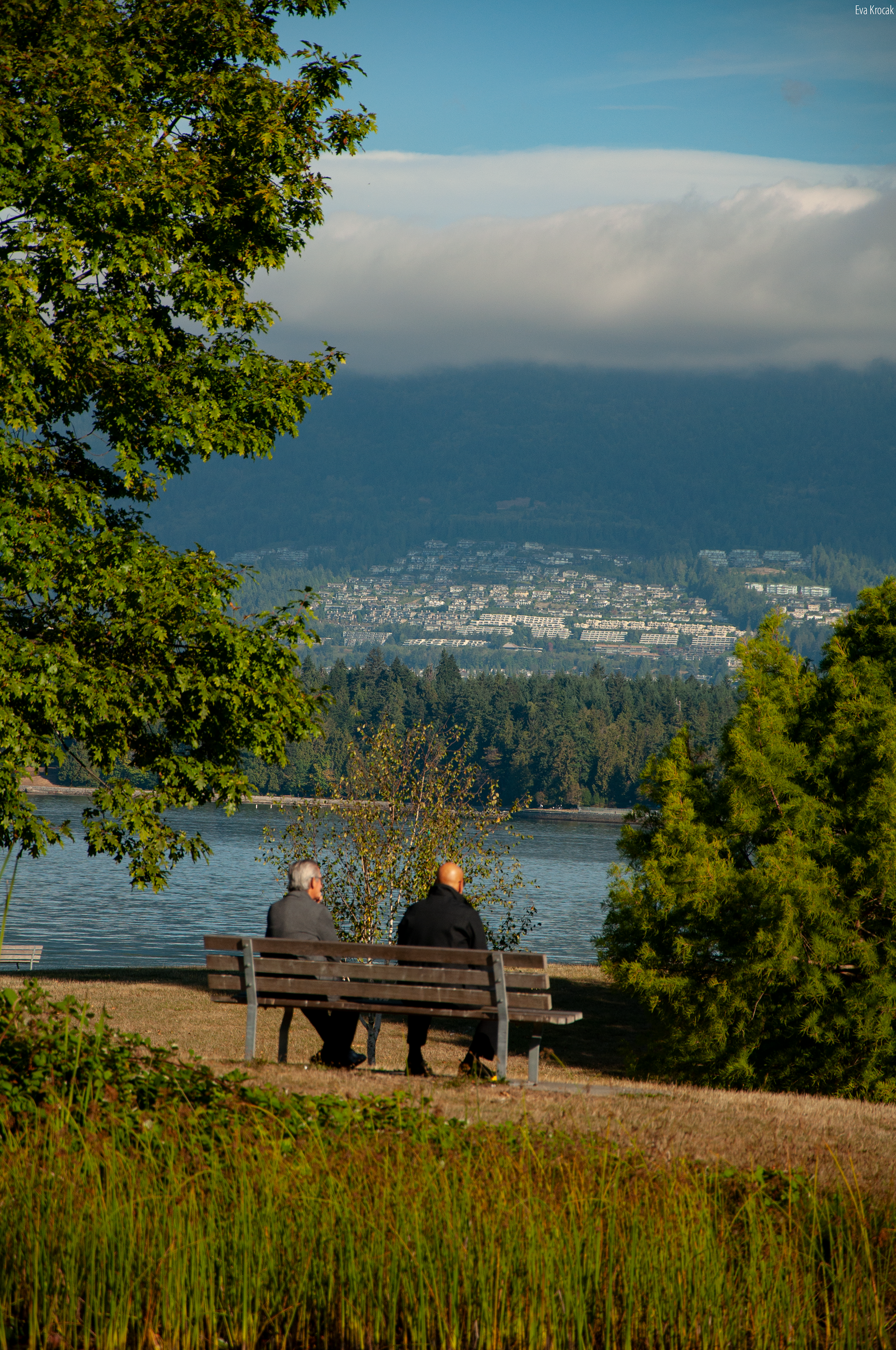 Vanier Park