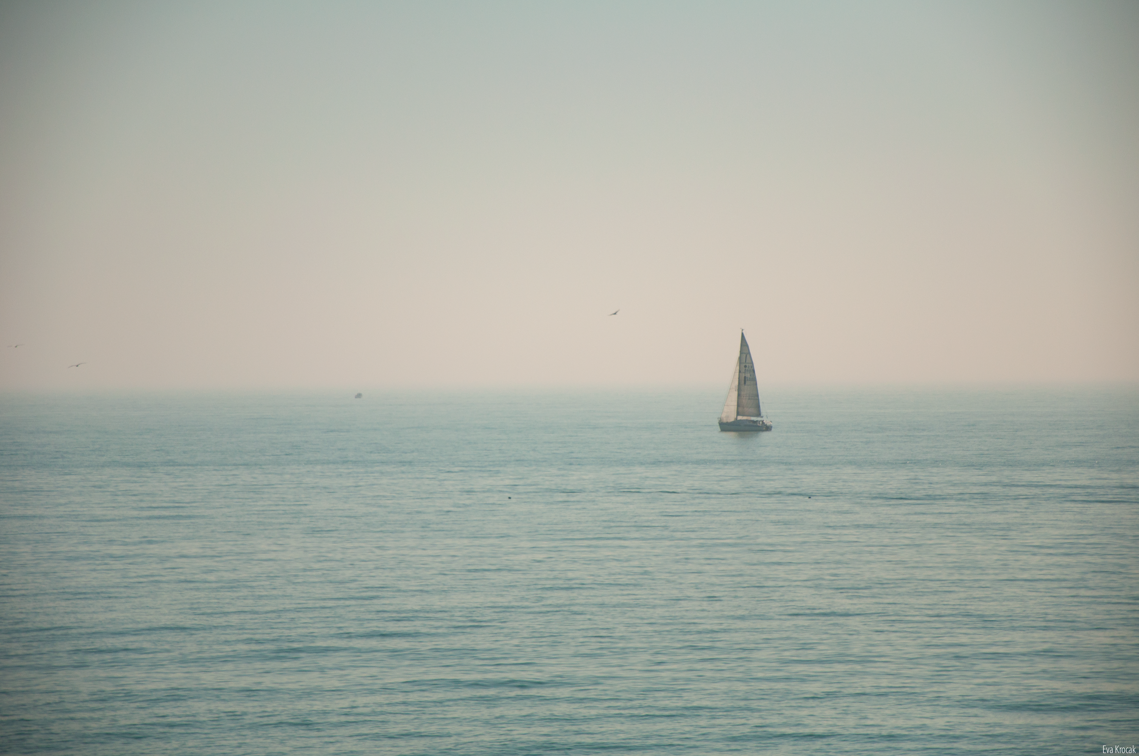 Brighton