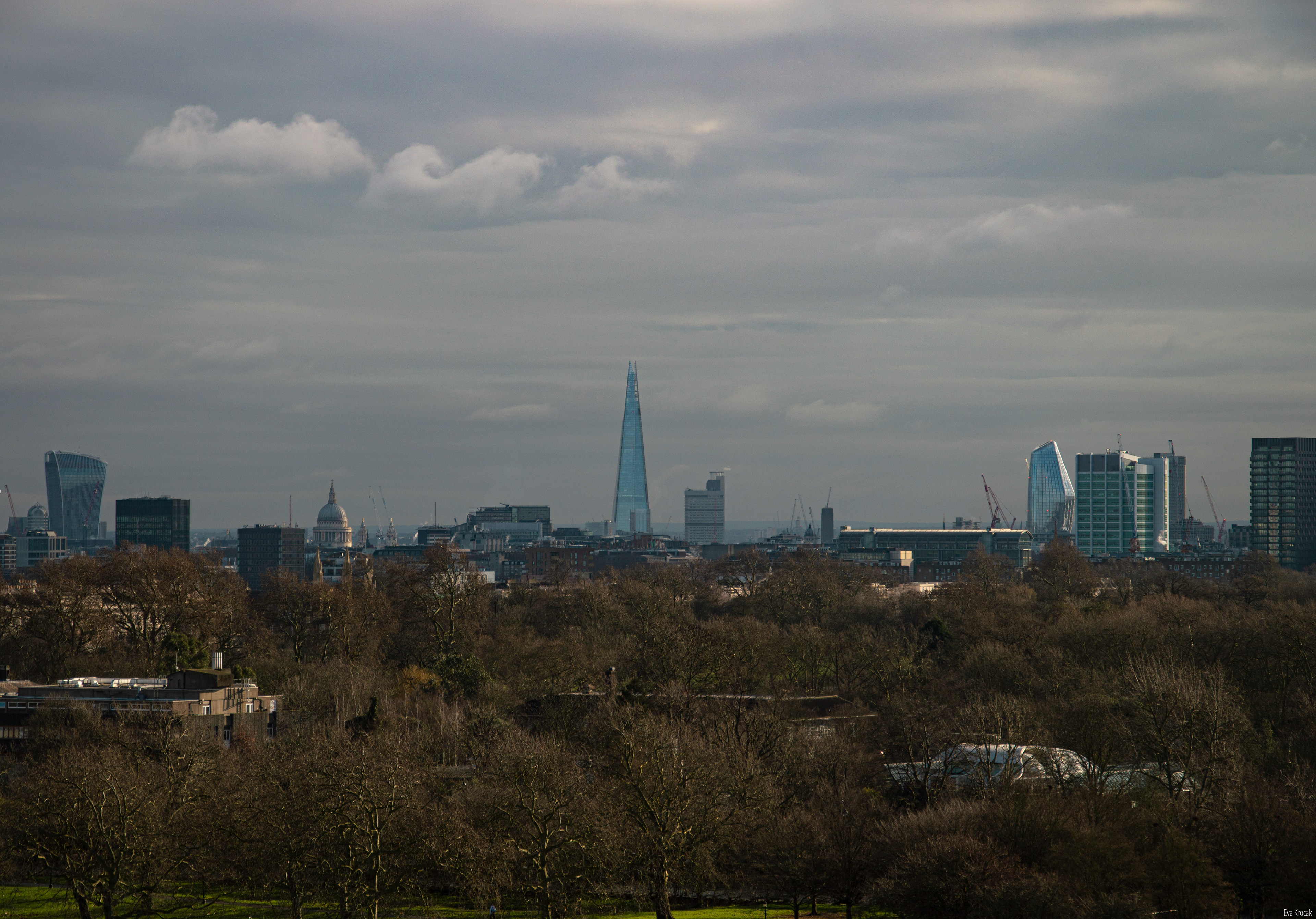 Primrose Hill view