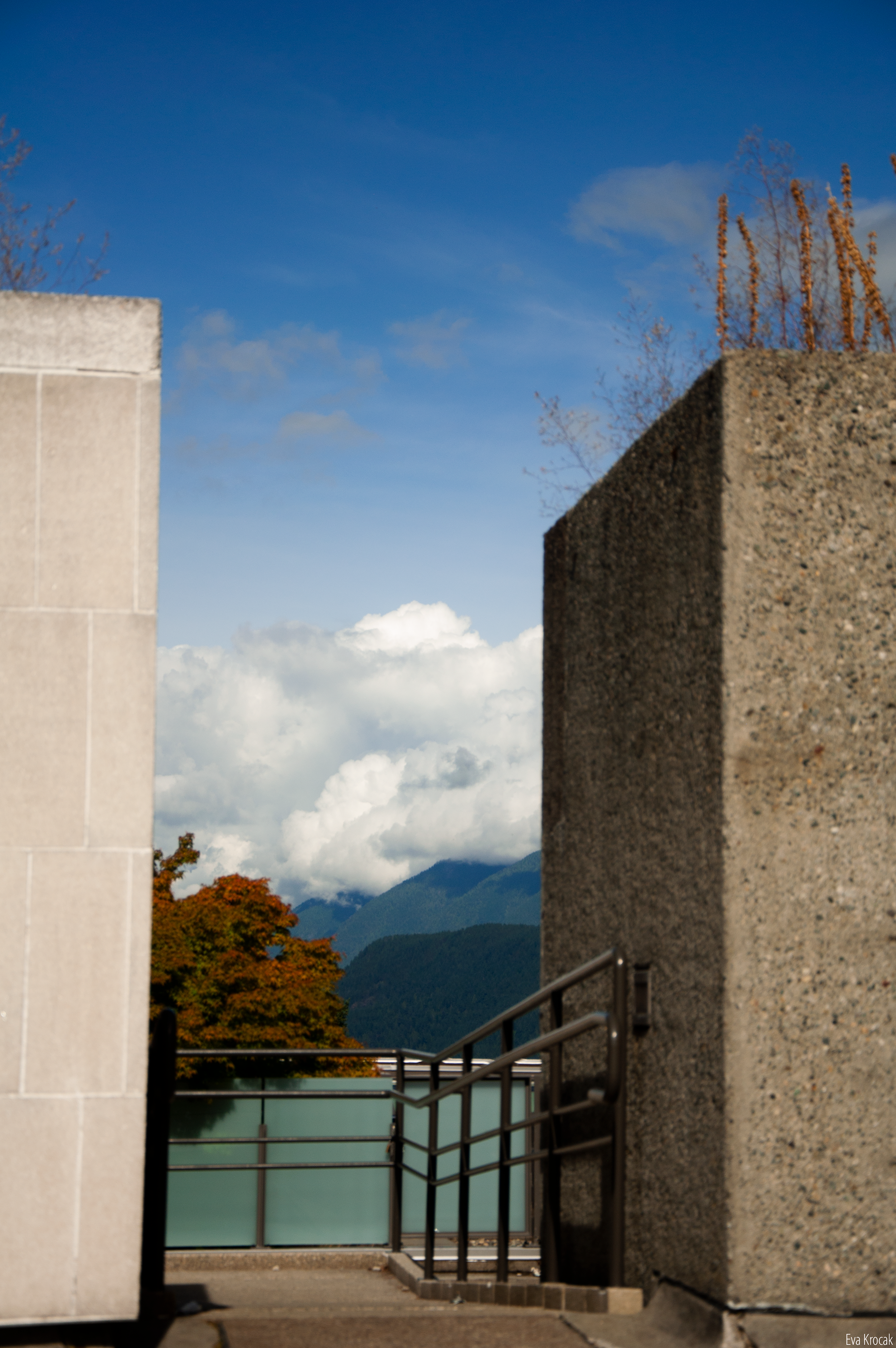 Simon Fraser University